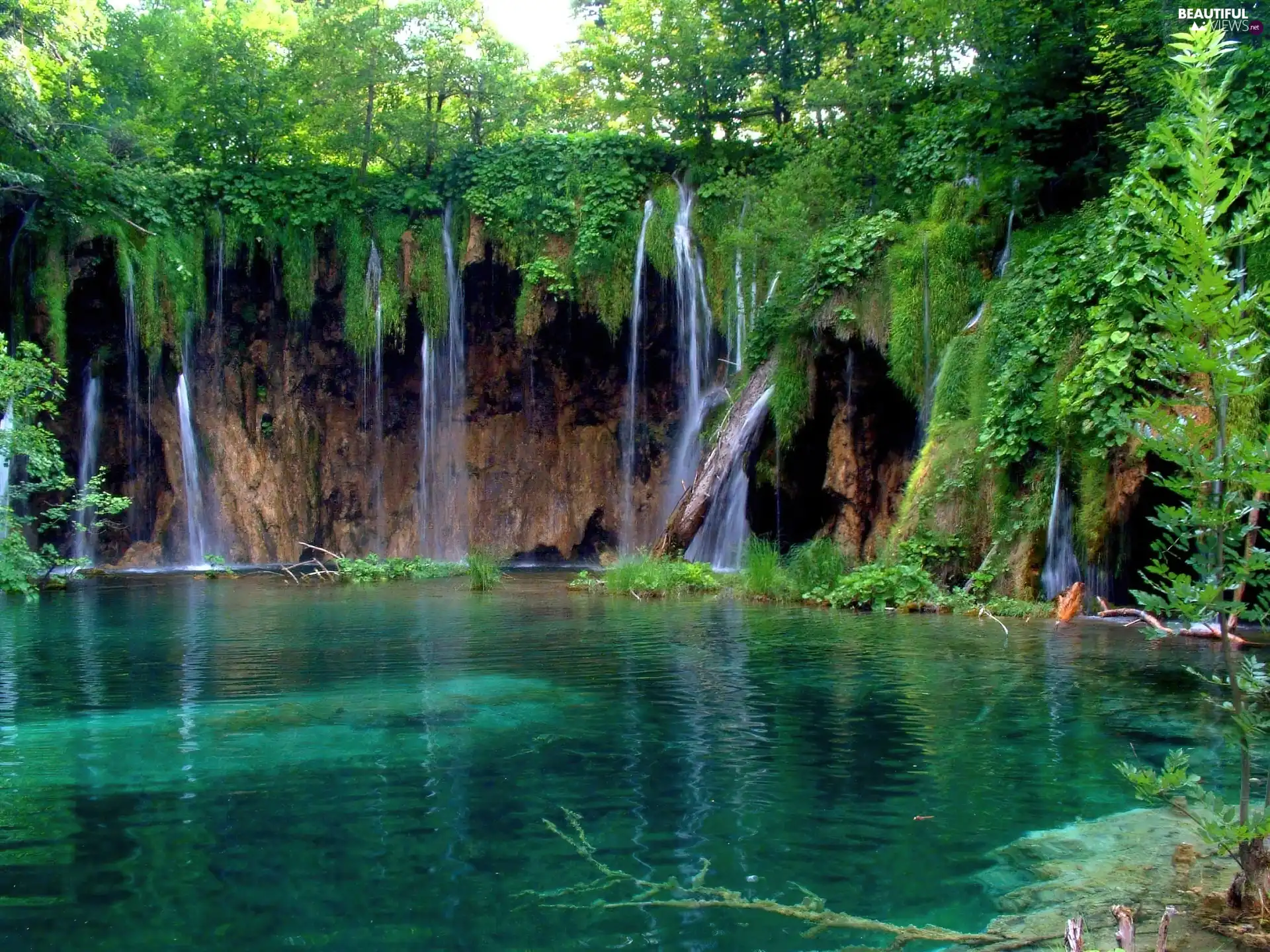 forest, waterfall, lake