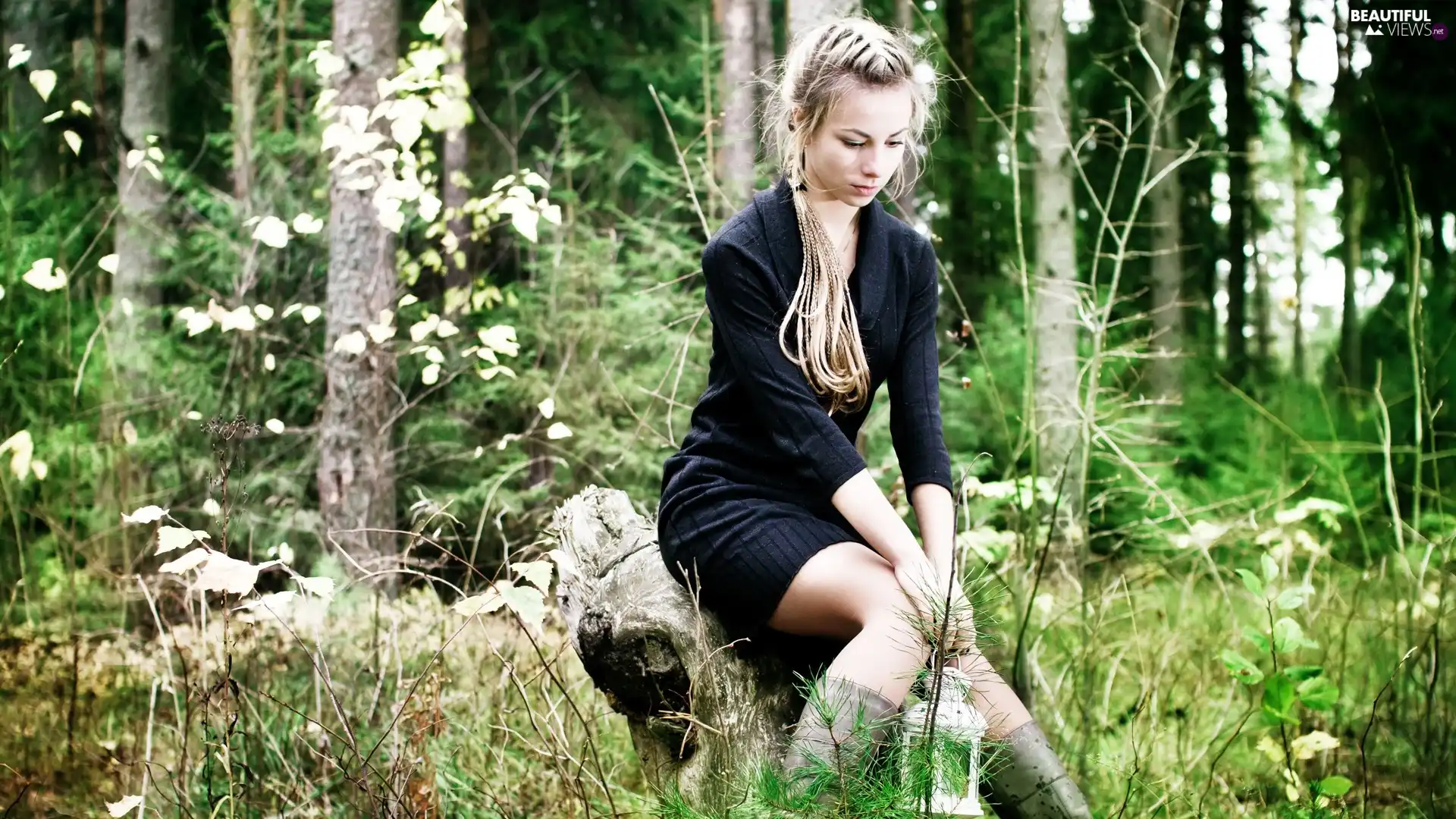 forest, Lamplight, black, dress, girl