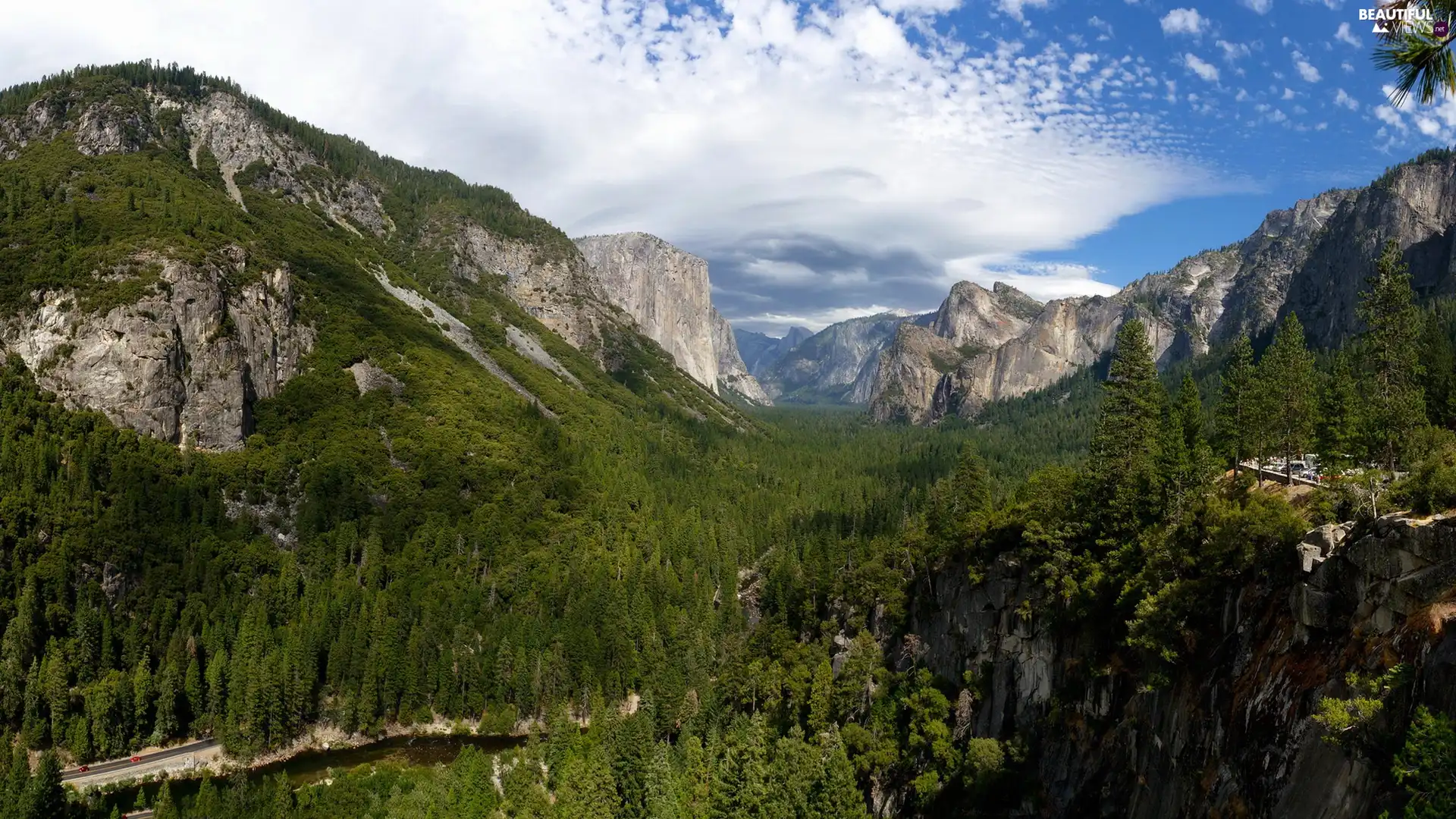 Mountains, forest