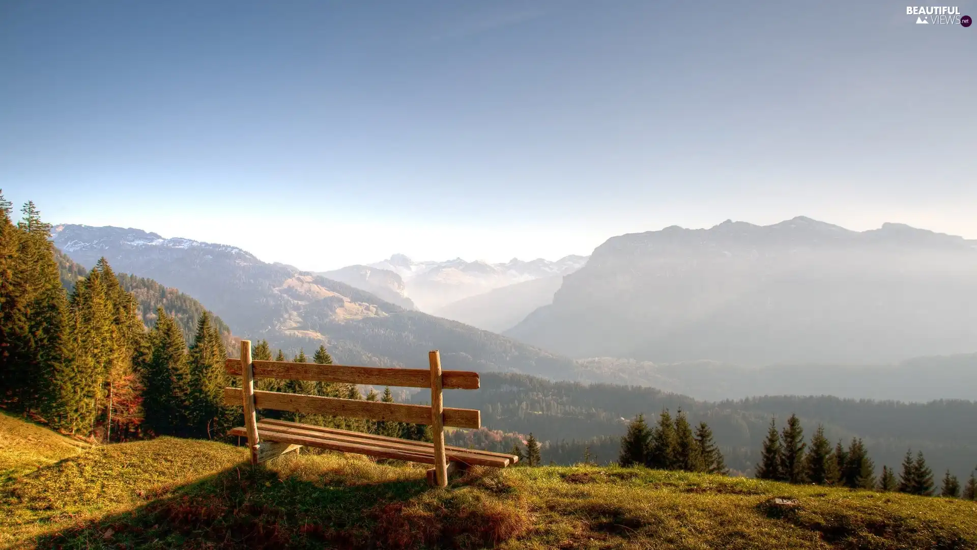 forest, Bench, Mountains