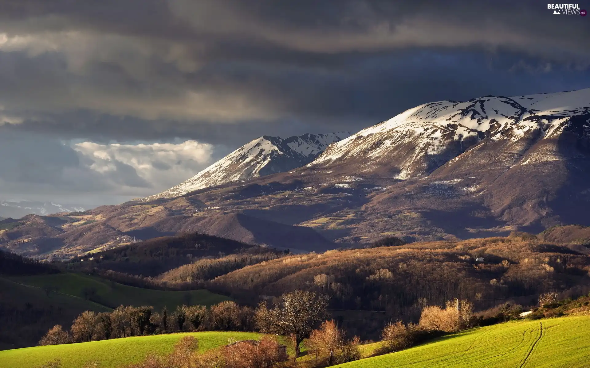 Mountains, clouds, forest, Meadow