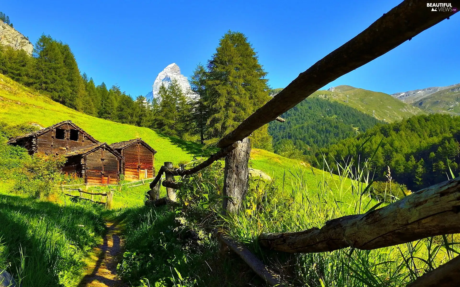 forest, house, Mountains
