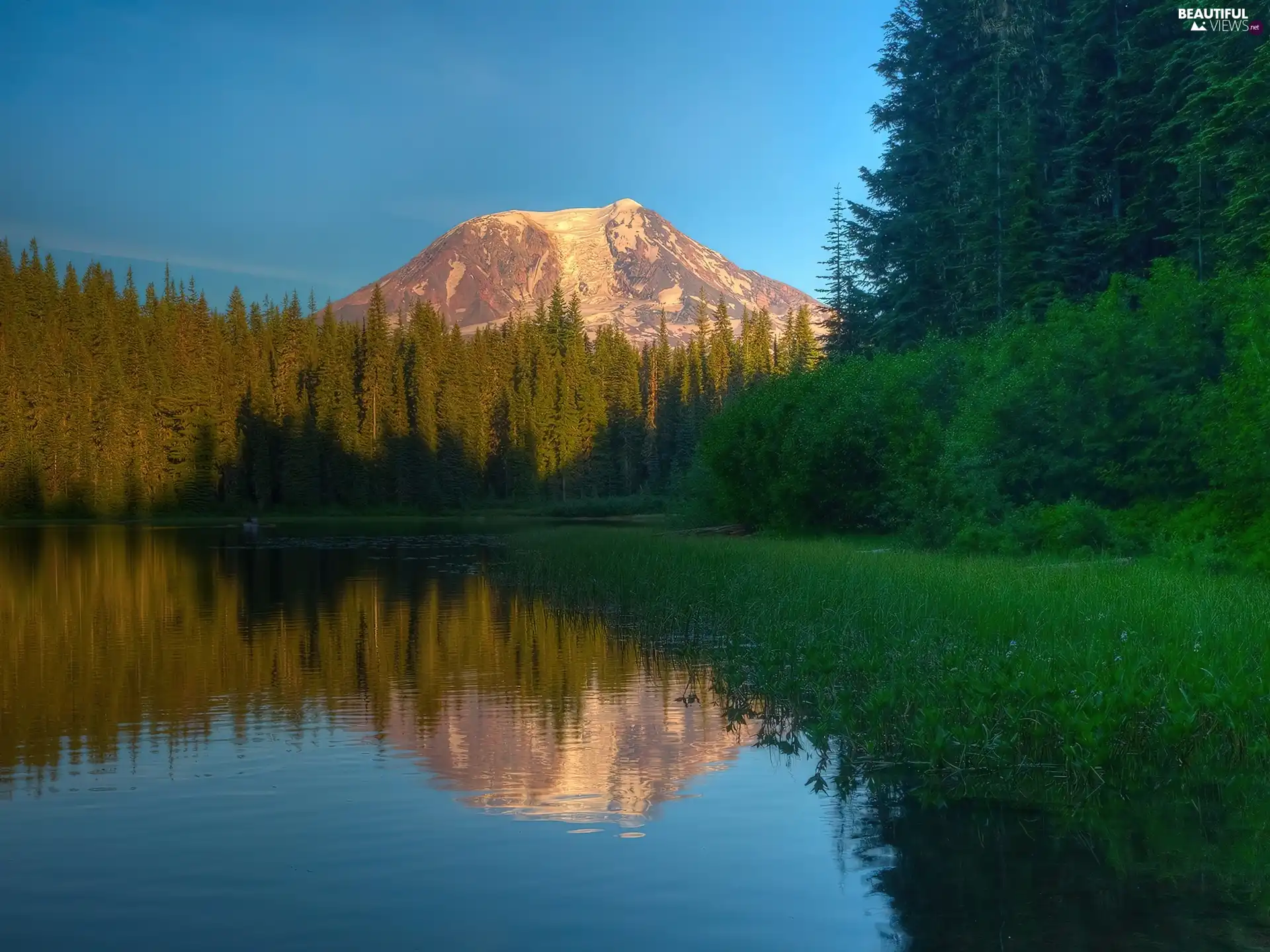 mountains, lake, forest, height