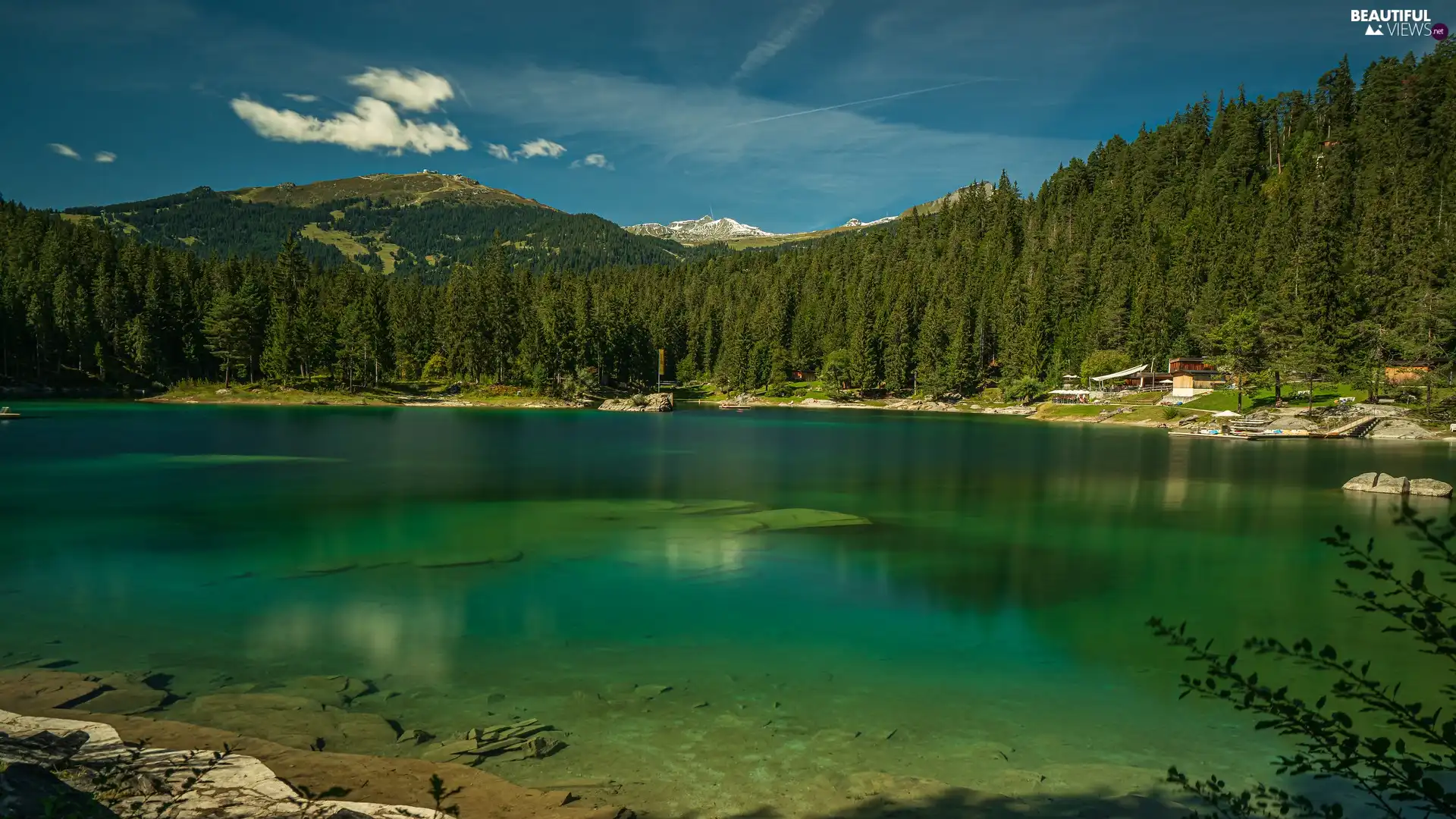 viewes, forest, Mountains, trees, lake