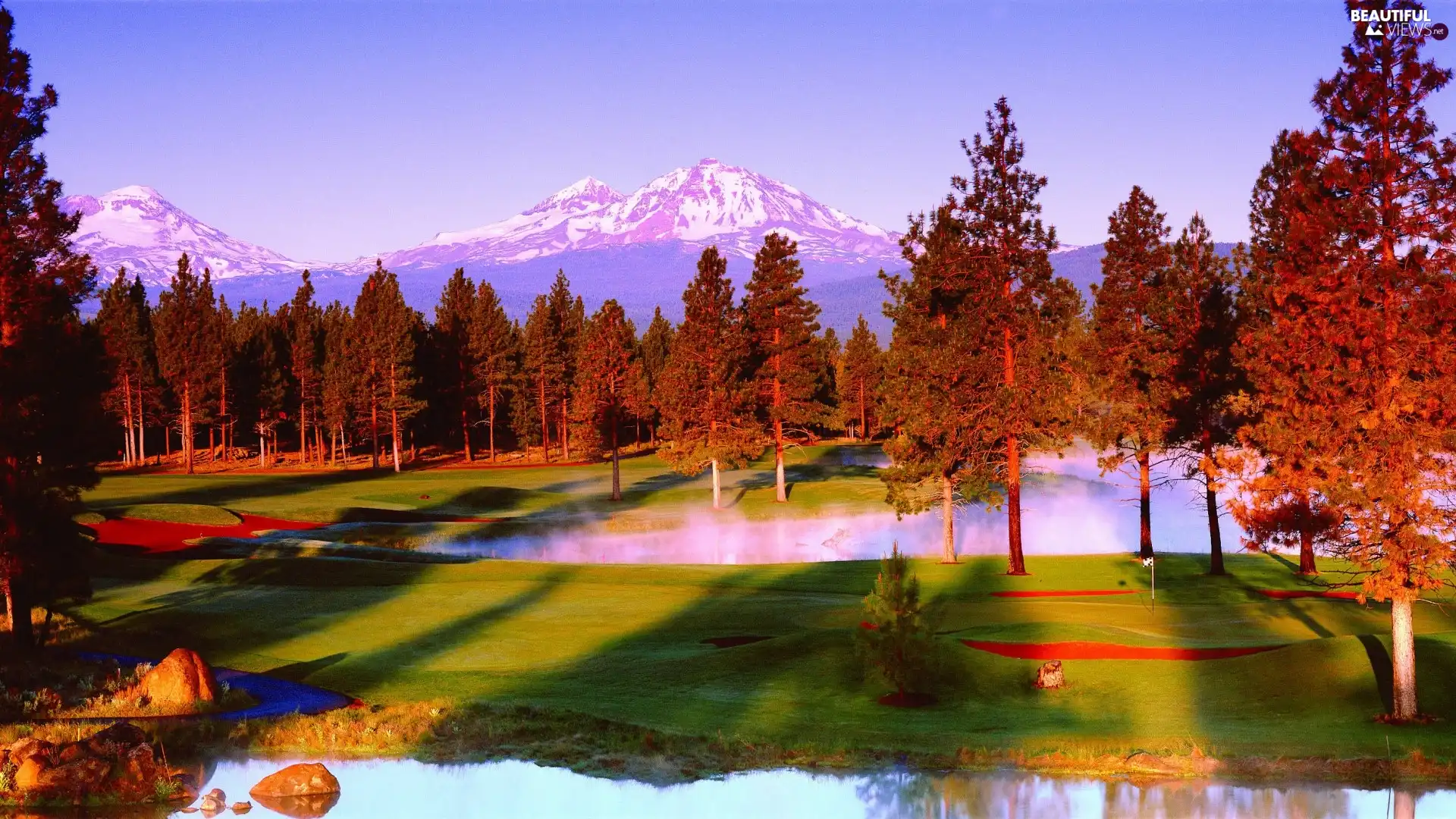 forest, Park, Mountains