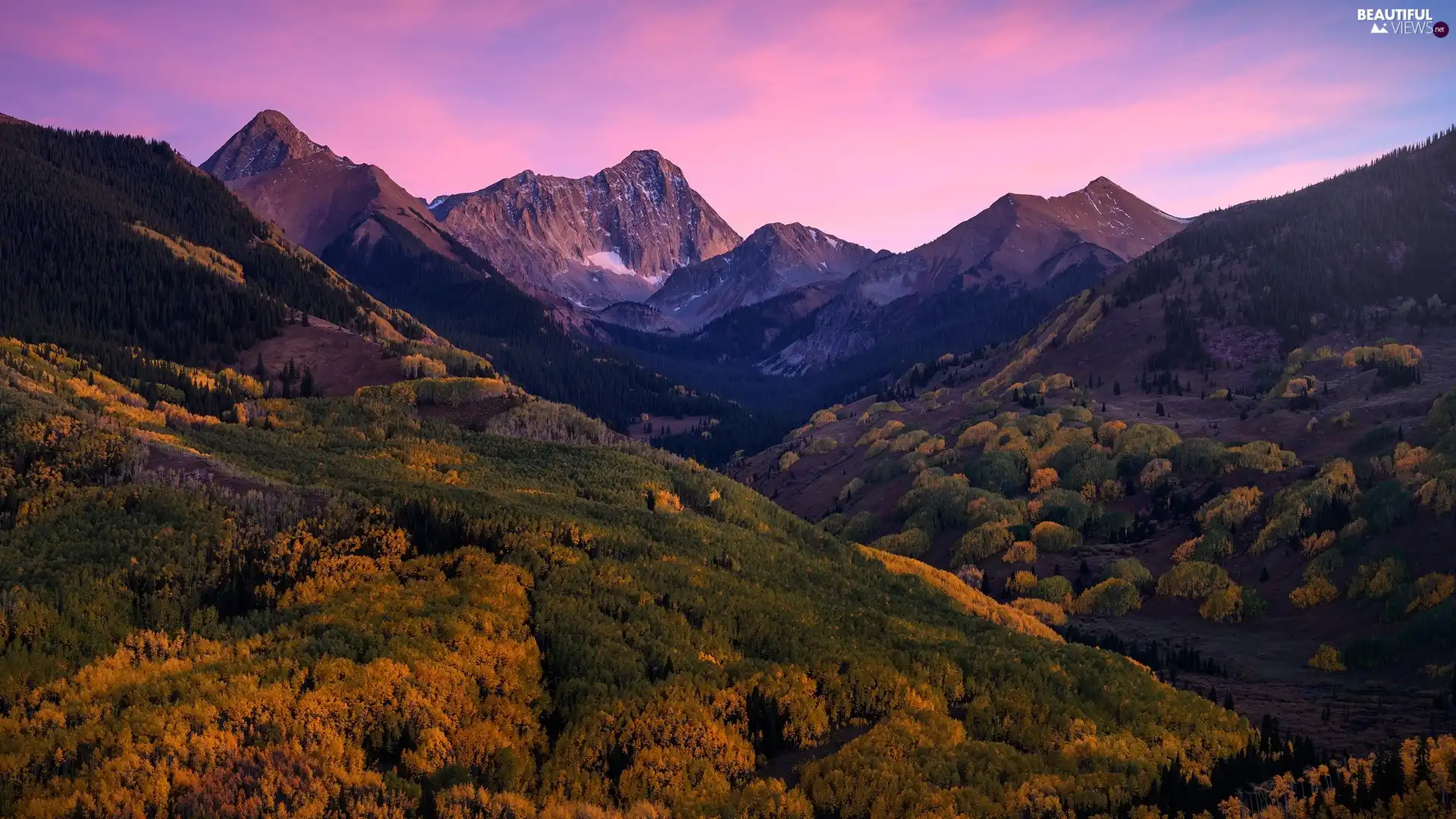 viewes, Great Sunsets, forest, trees, Mountains