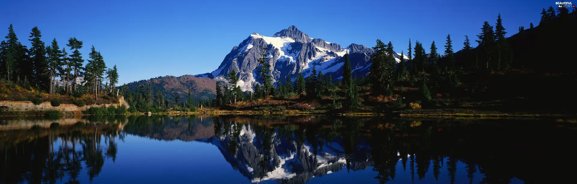 panorama, lake, forest, mountains