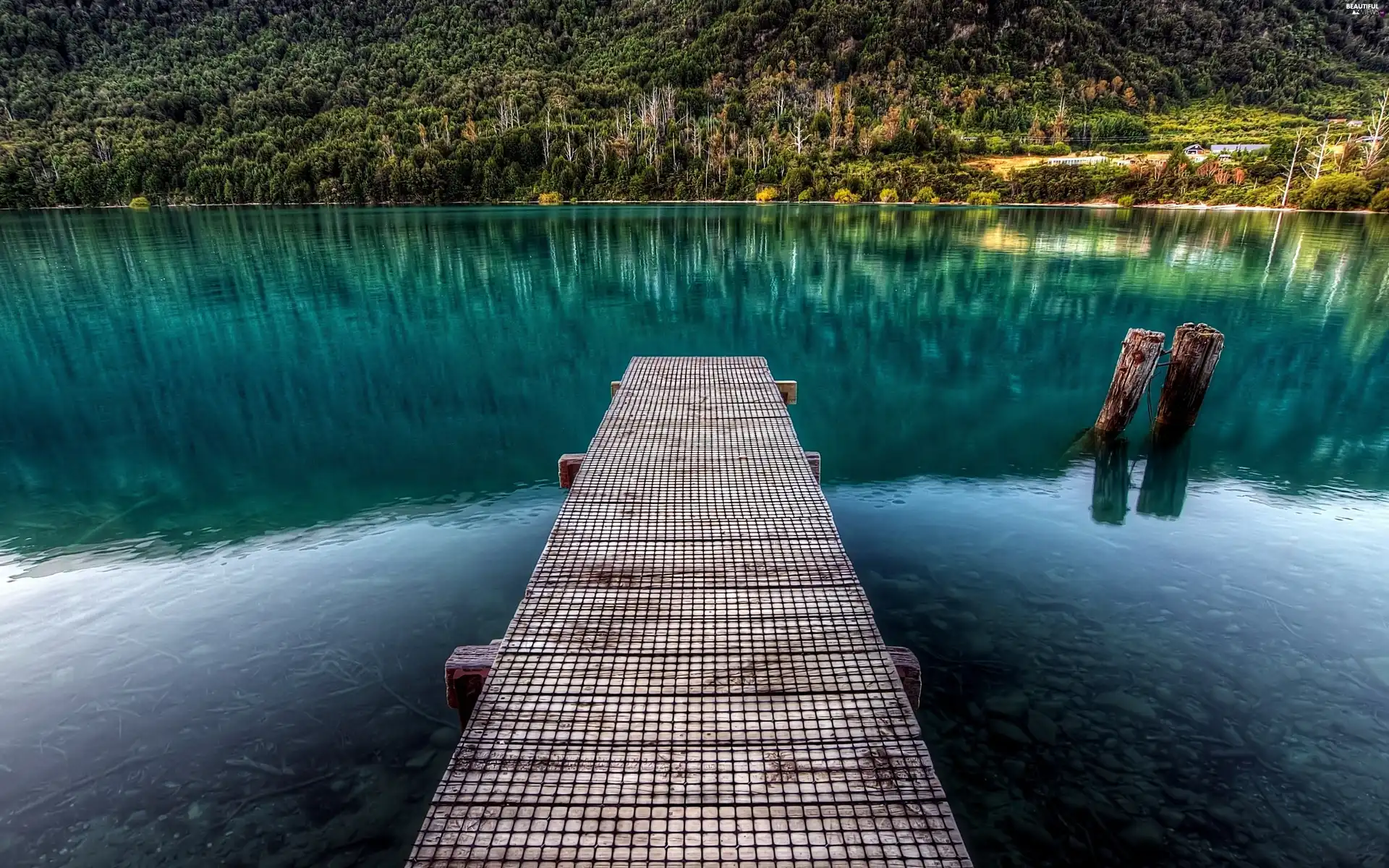 forest, lake, Platform