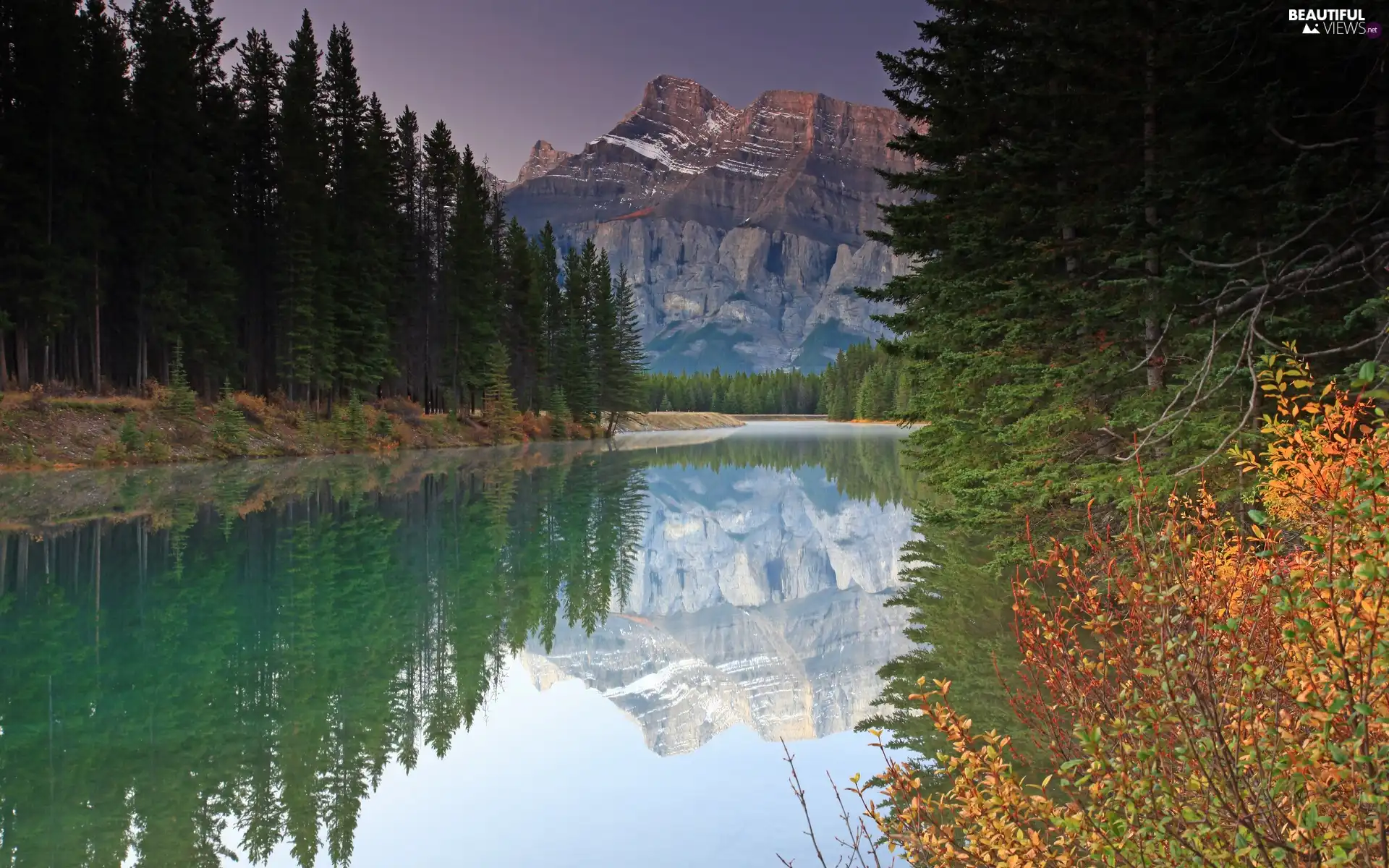 forest, Mountains, River