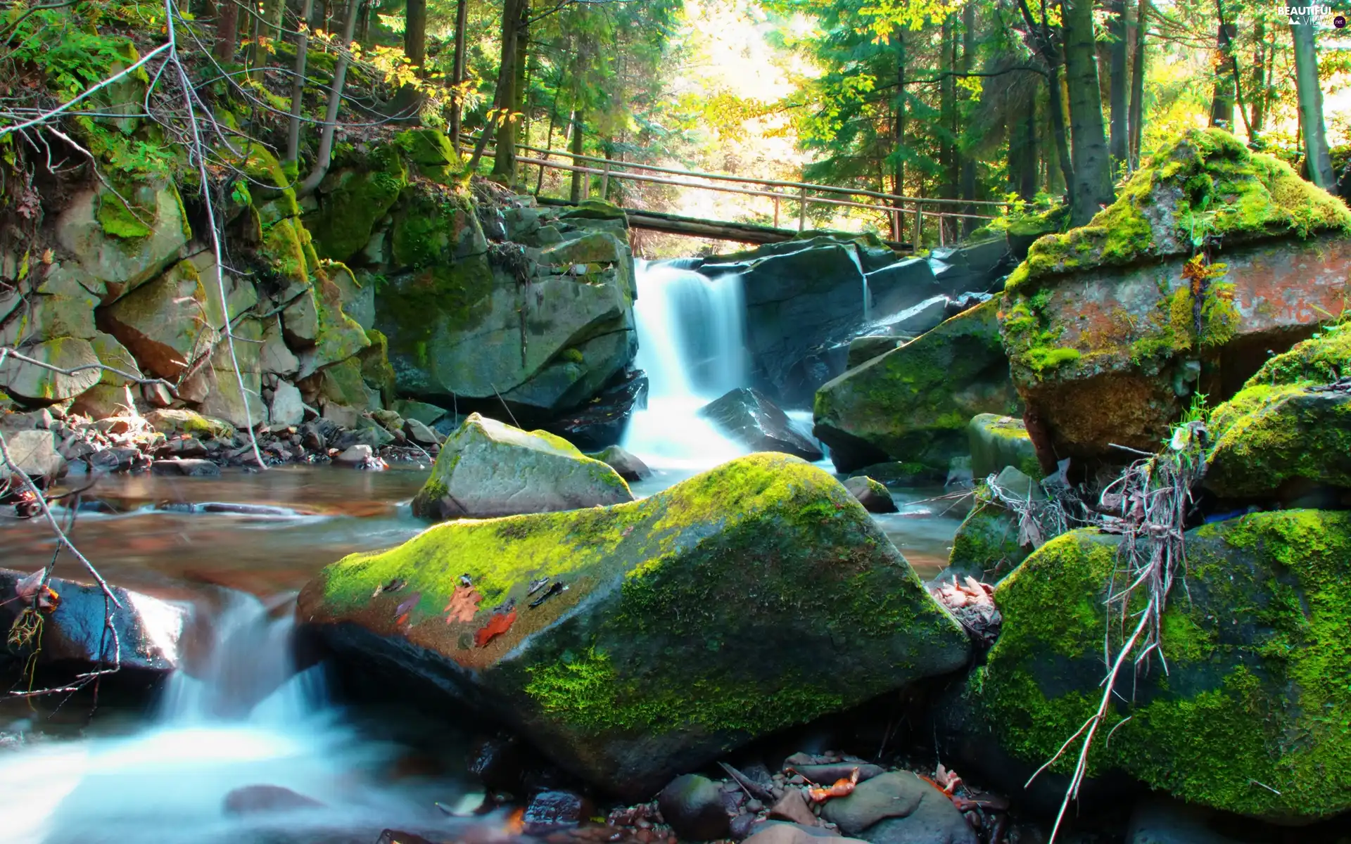 River, Stones, forest, waterfall