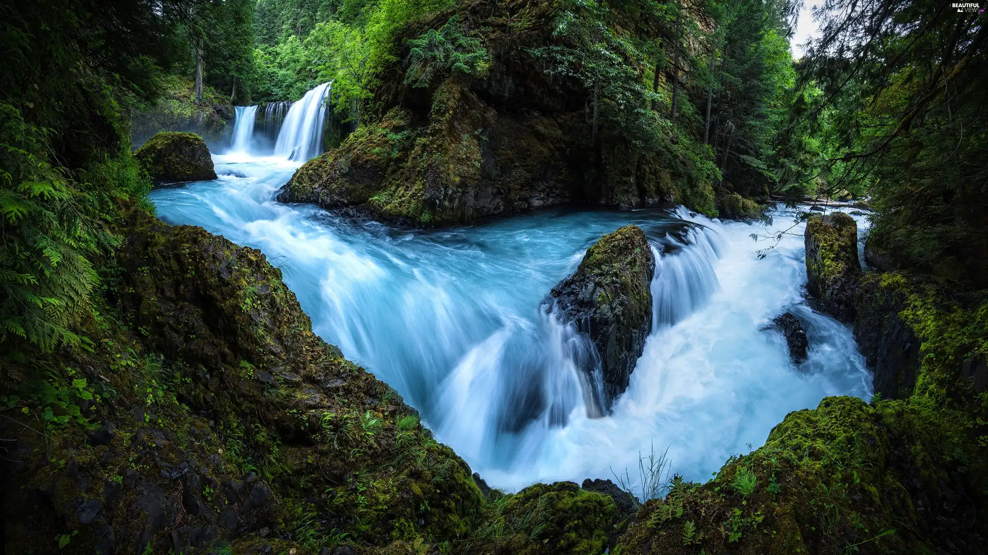 rocks, waterfall, viewes, forest, trees, River