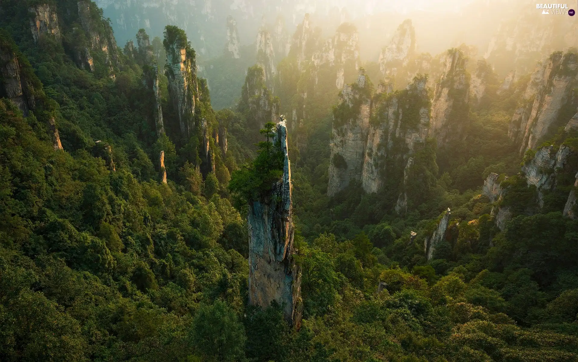 Hunan, China, rocks, Zhangjiajie National Forest Park, forest