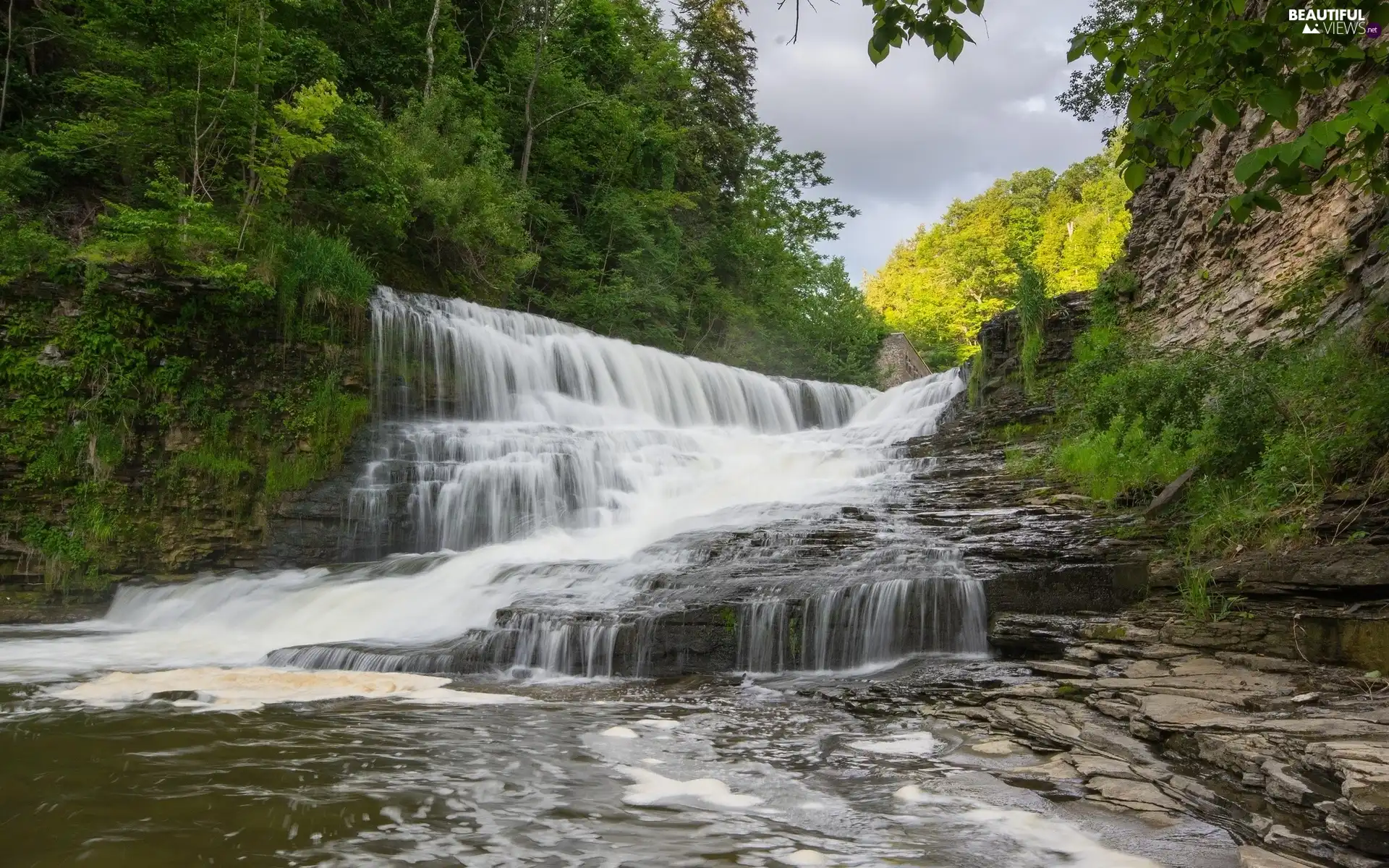 forest, waterfall, rocks