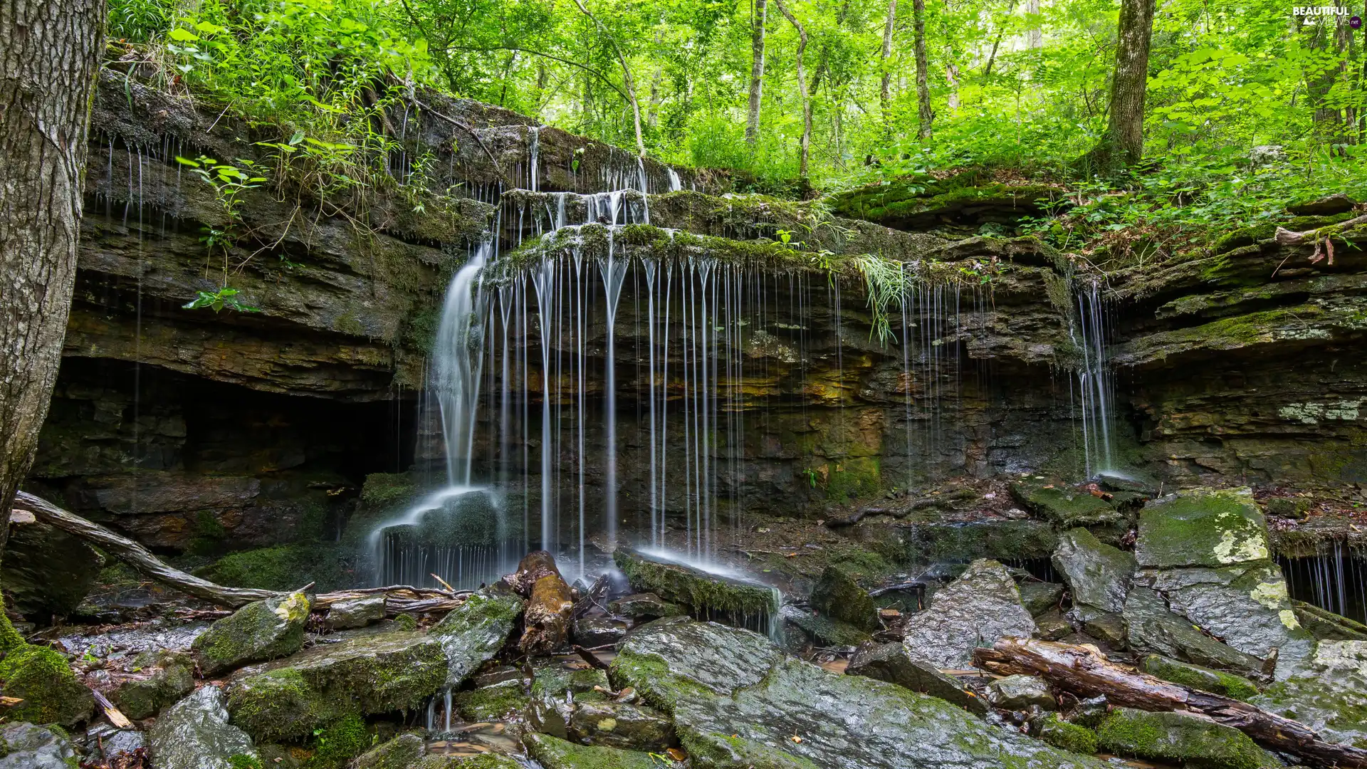 Stones, forest, Rocks, mossy, waterfall