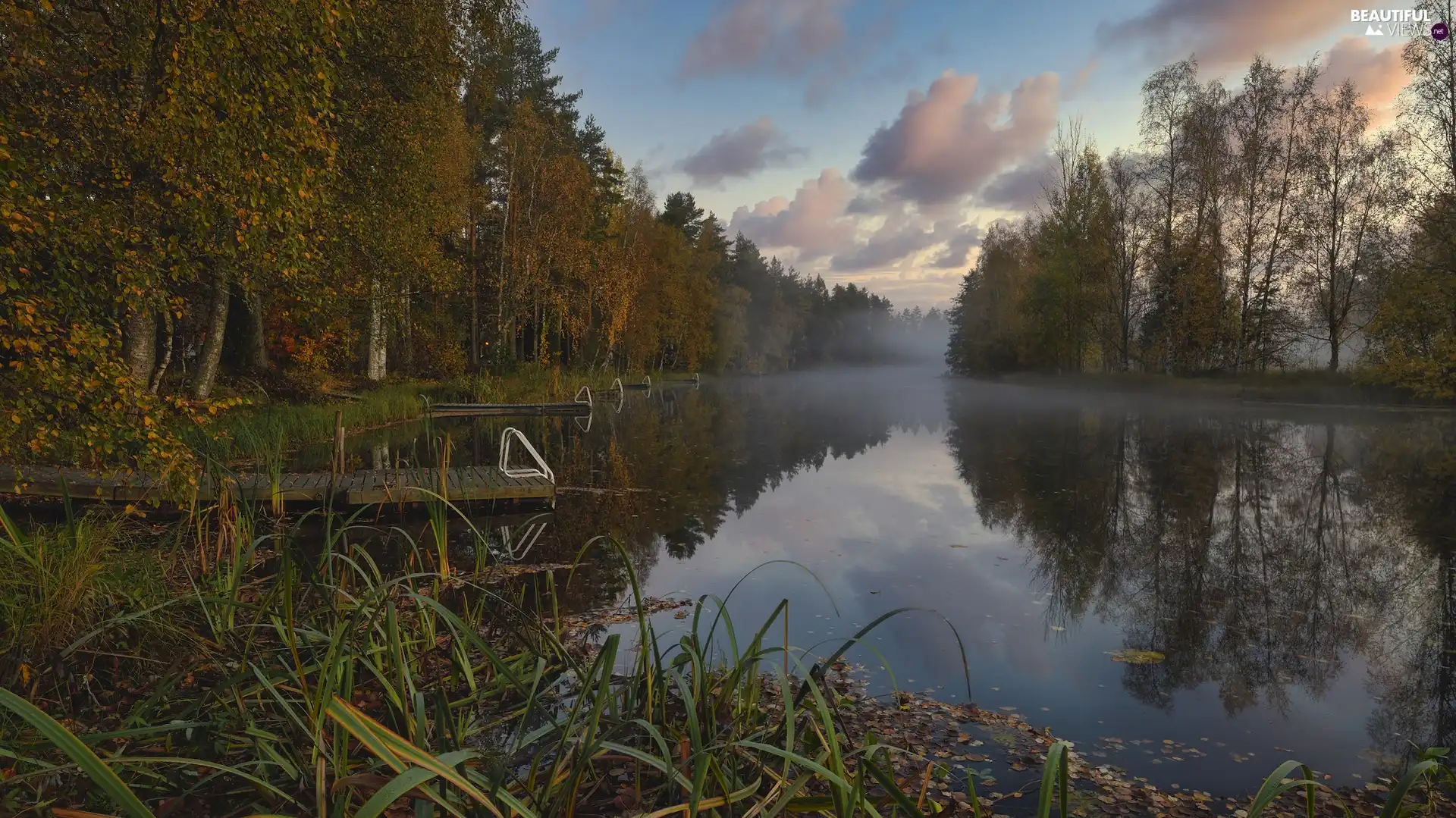 Fog, trees, rushes, viewes, Platforms, lake, autumn, forest
