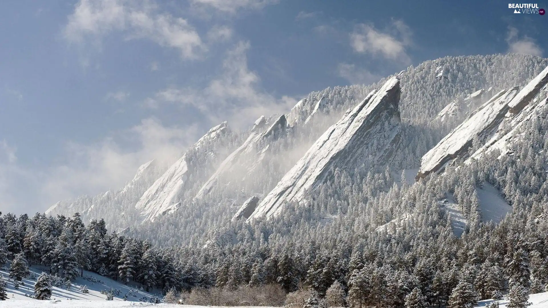 Sky, winter, forest, Mountains