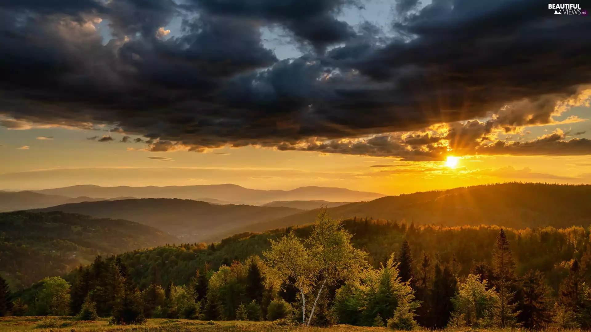 forest, Mountains, trees, viewes, Beskydy, Poland, Sunrise, clouds, Fog