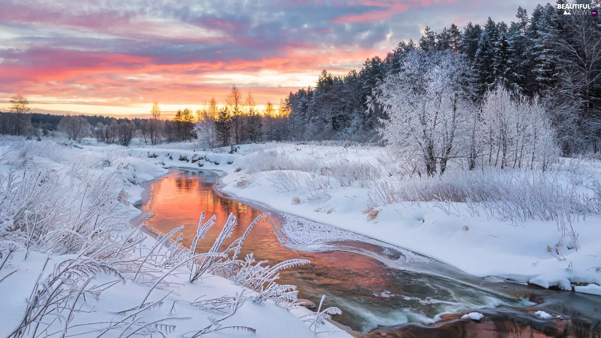 trees, River, Sunrise, forest, winter, viewes, clouds