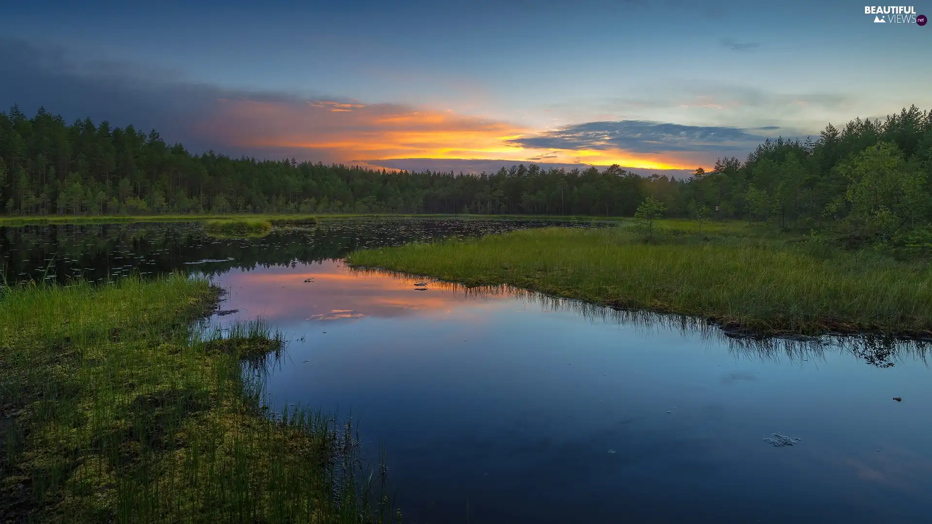 trees, viewes, lake, forest, Great Sunsets