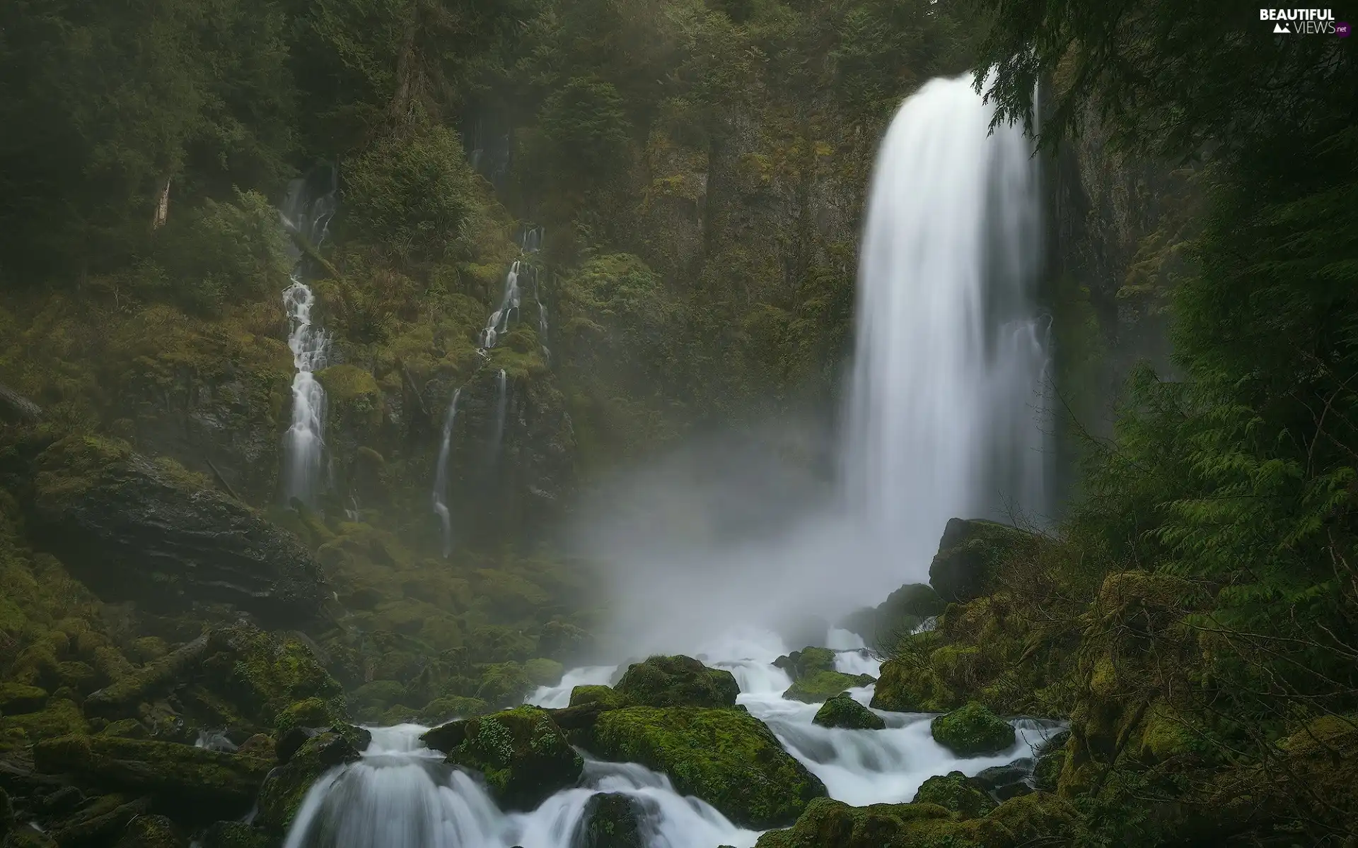 Stones, rocks, viewes, branches, trees, mossy, waterfall, forest