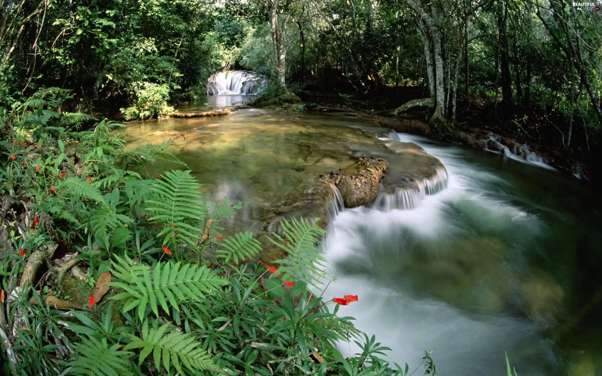 waterfall, forest