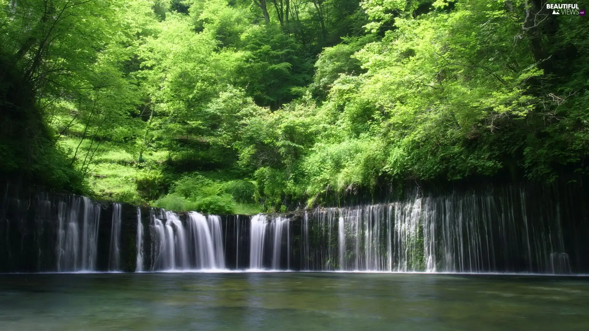 waterfall, viewes, forest, trees