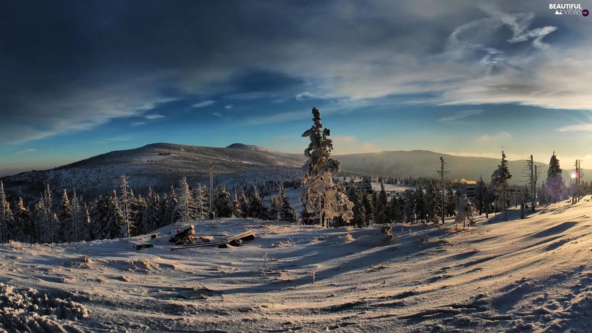 forest, Mountains, winter