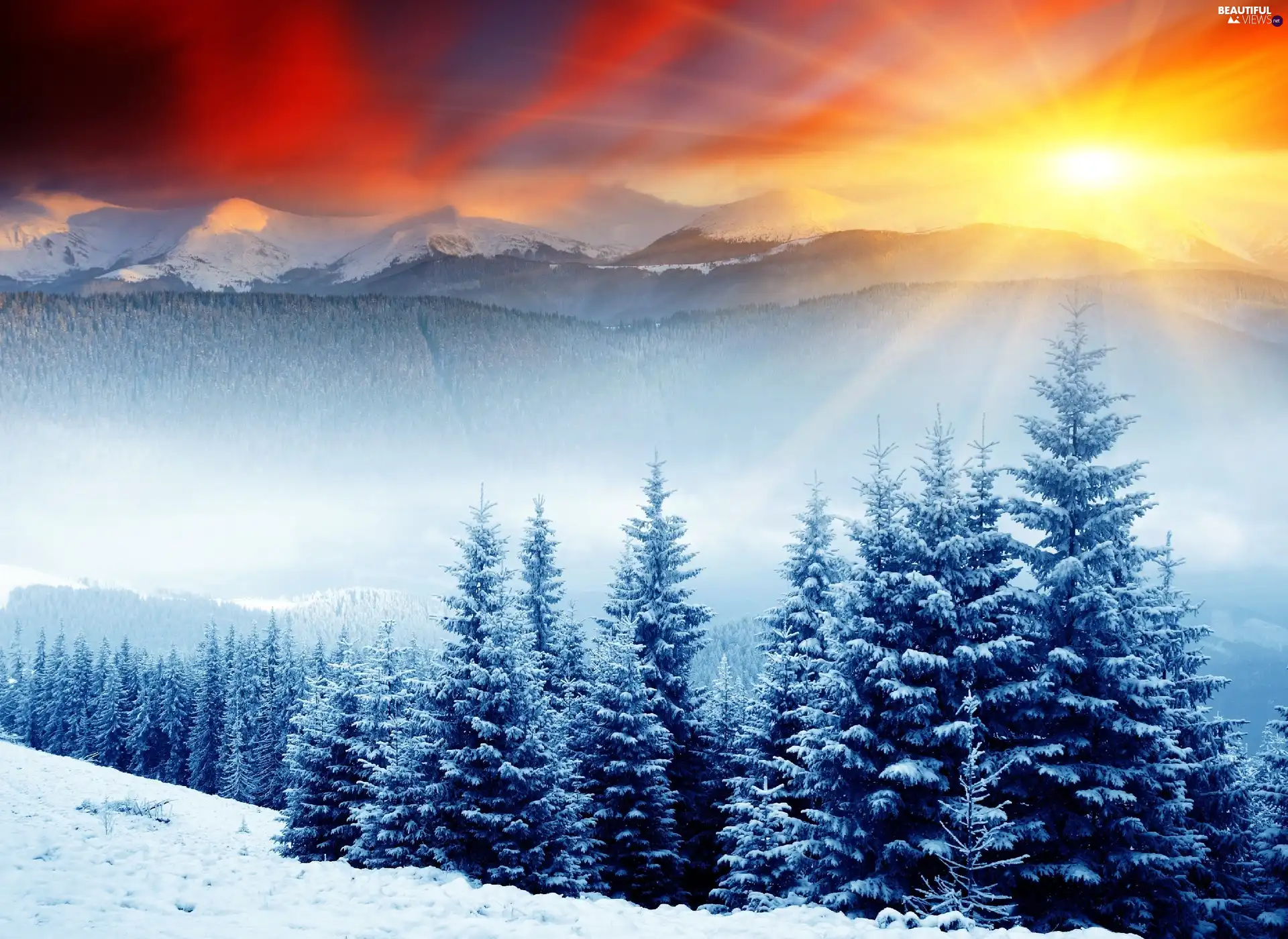 forest, winter, sun, Mountains, rays