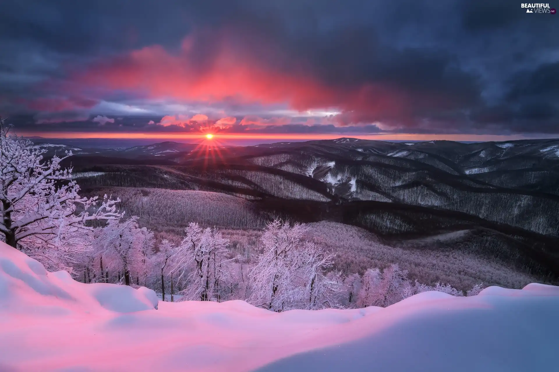 forest, Snowy, clouds, trees, Great Sunsets, winter, Mountains, viewes