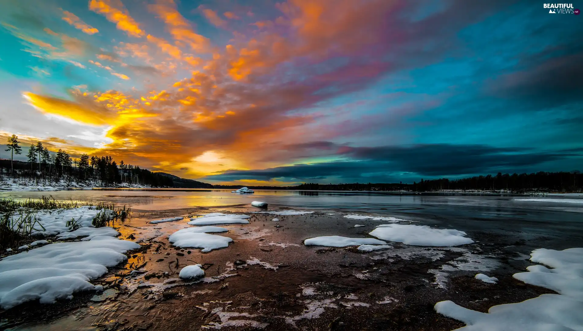 forest, winter, sun, lake, west