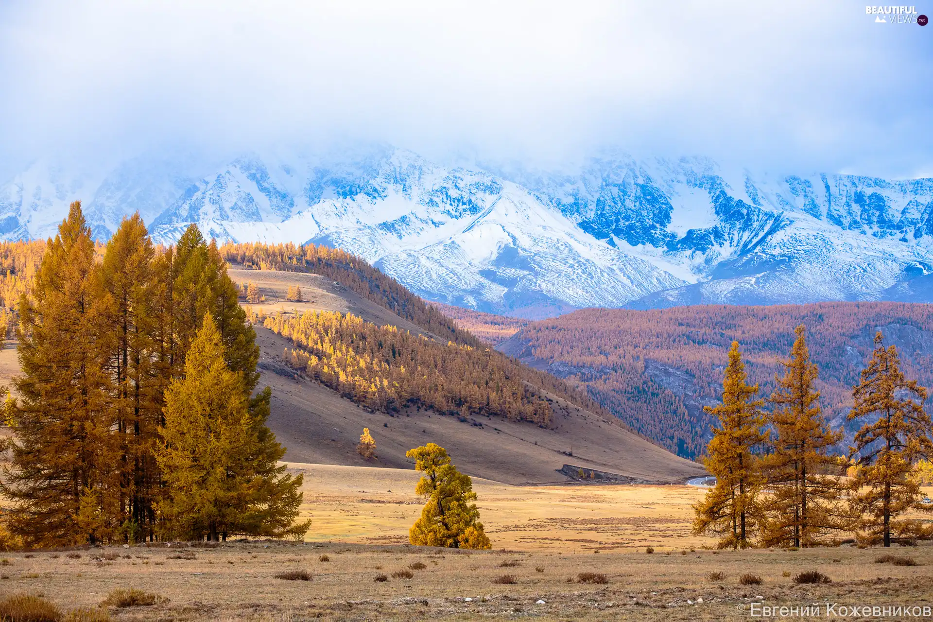 forested, The Hills, Russia, trees, Altai, Mountains, autumn, viewes