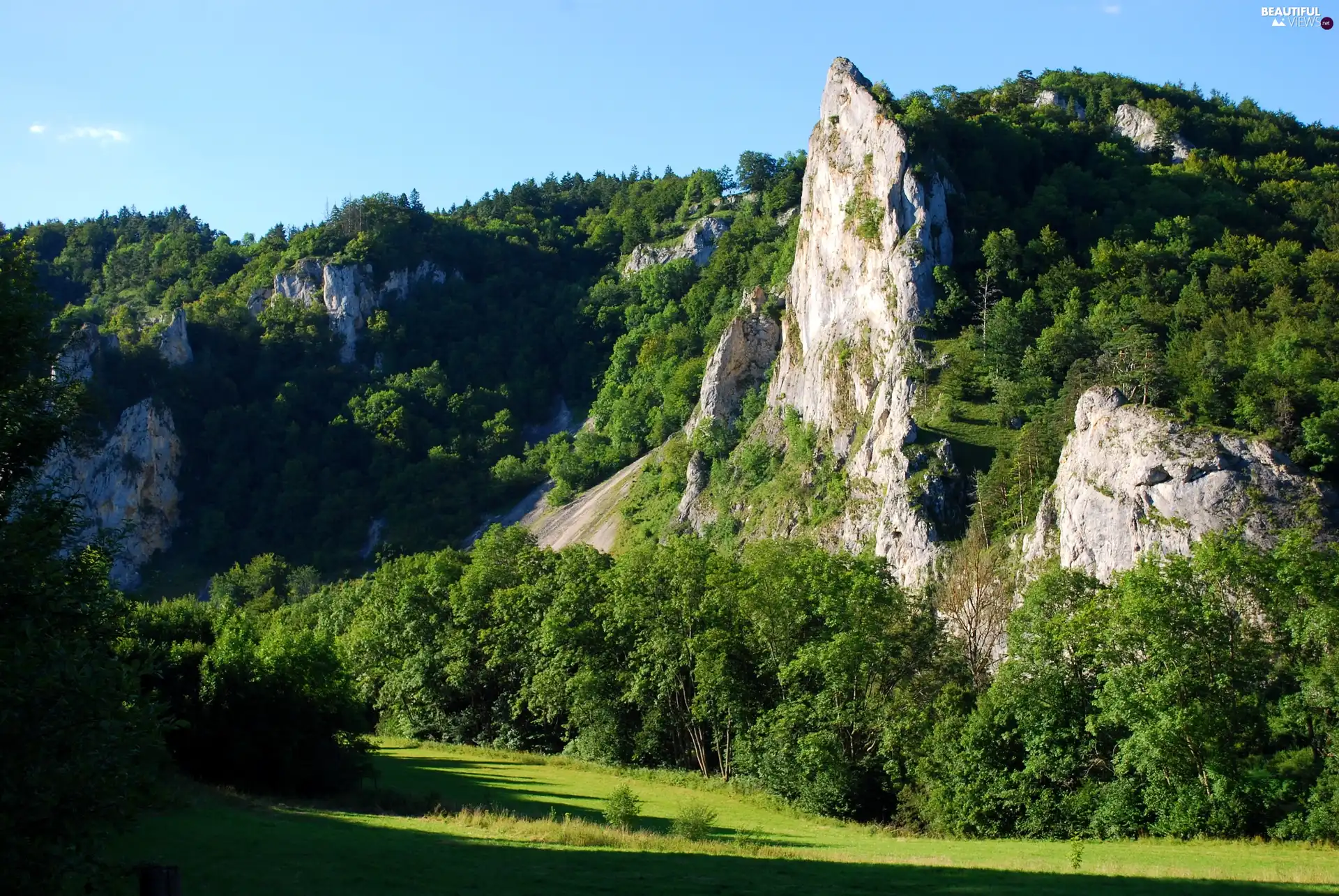 forests, rocks, Wooded