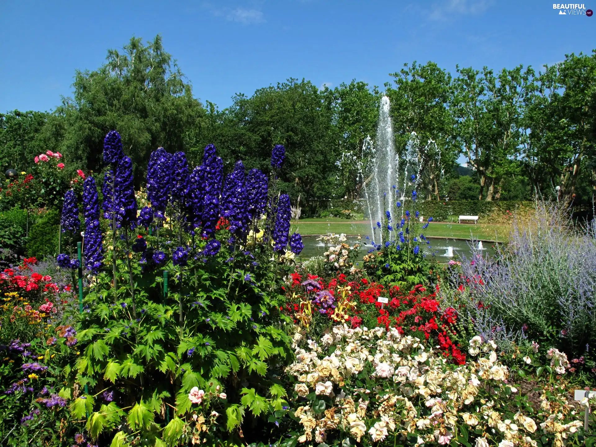 fountain, Park, Flowers