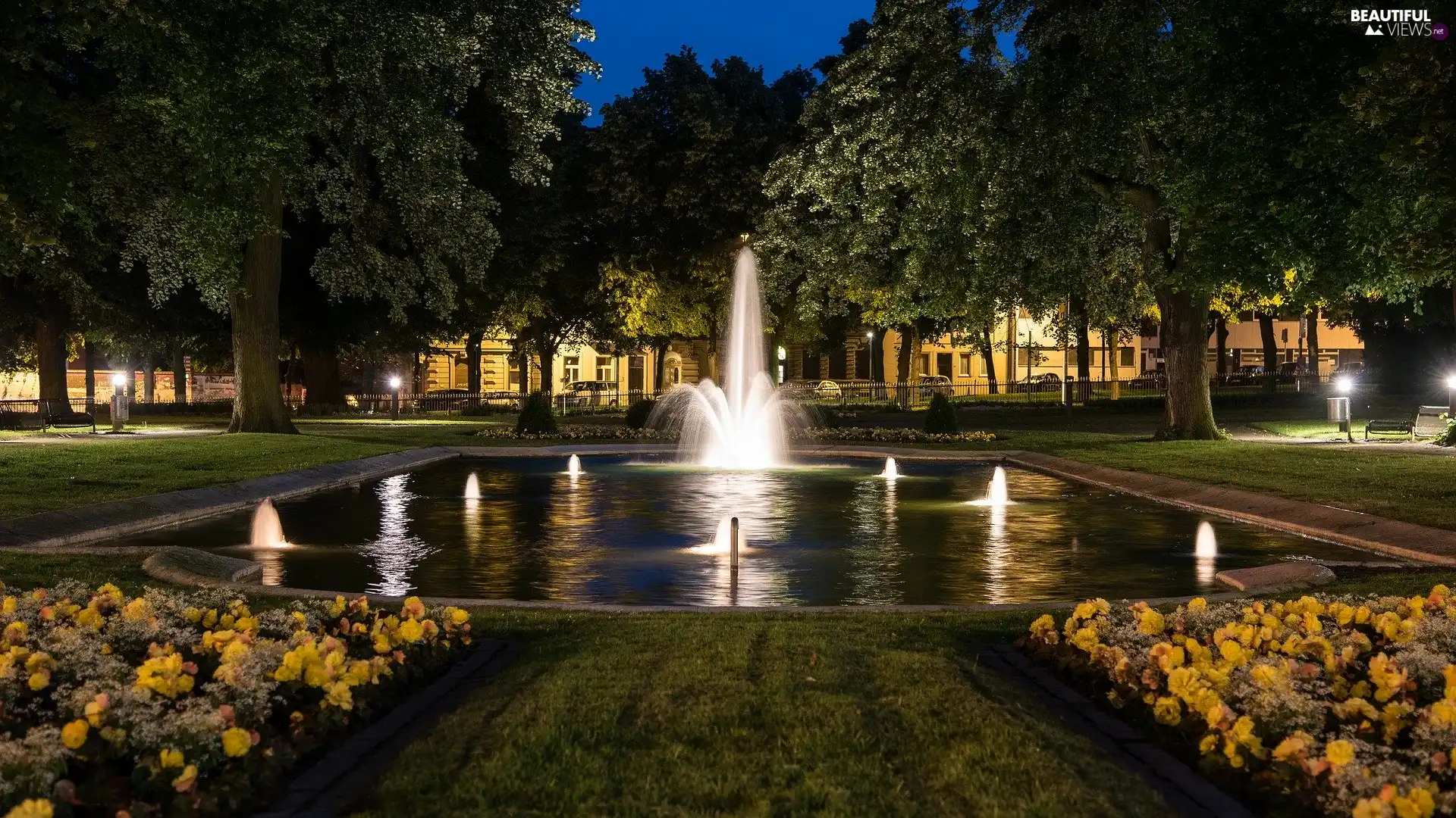 Flowers, illuminated, viewes, fountain, Park, trees, Night