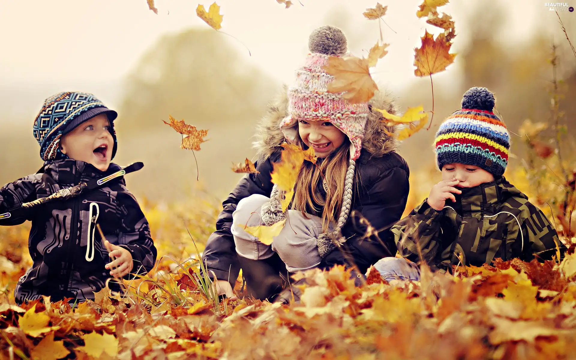 Kids, Autumn, fun, Park