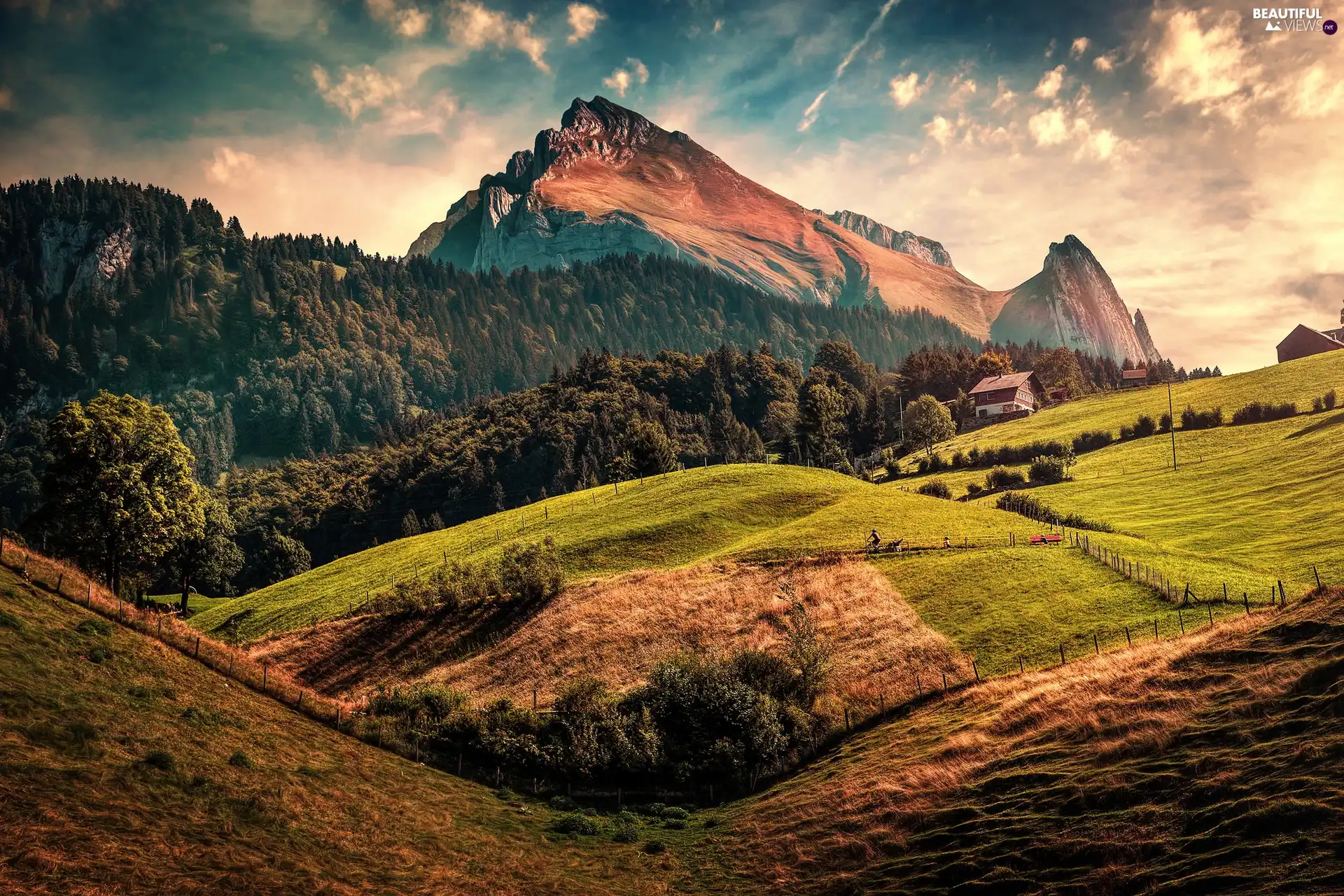 Canton of Sankt Gallen, Switzerland, Unterwasser Village, Mountains, trees, viewes, field, Houses, woods