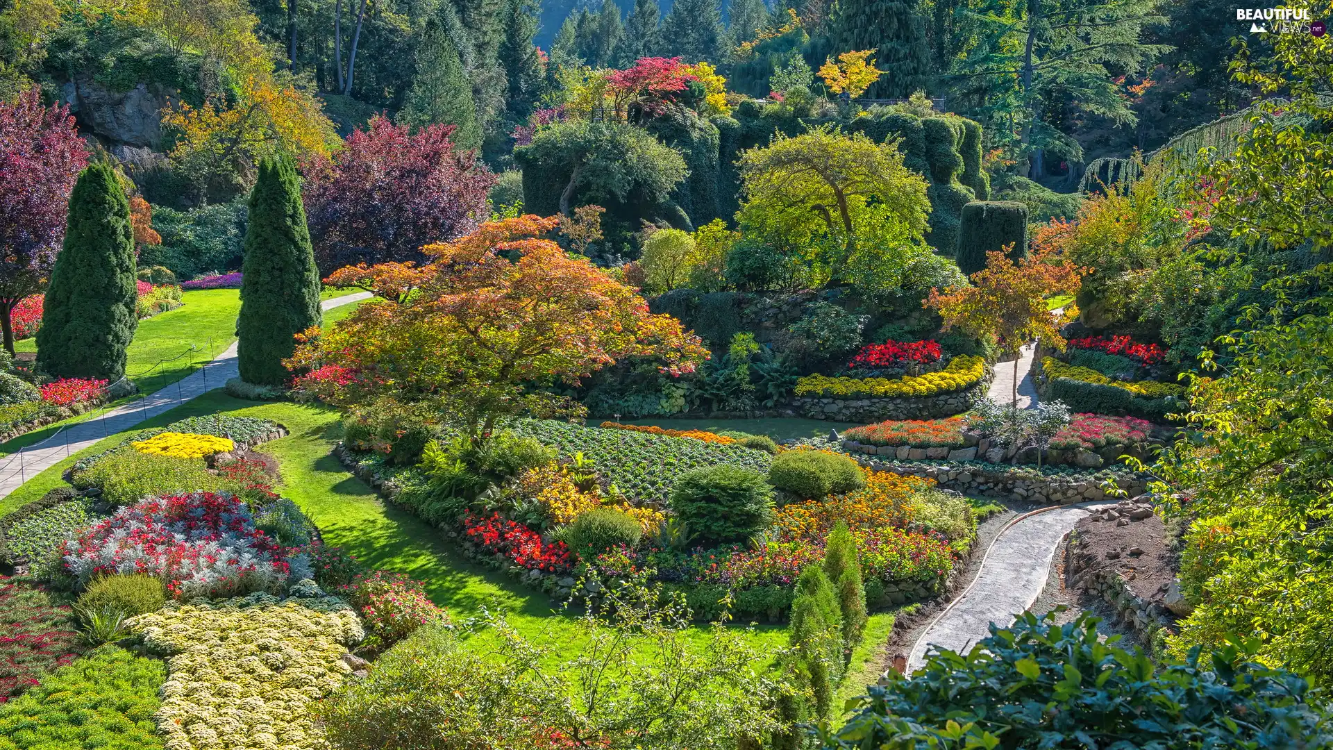 Butchart Gardens, trees, rebates, British Columbia, Flower-beds, Garden, viewes, Canada, Brentwood Bay, Alleys