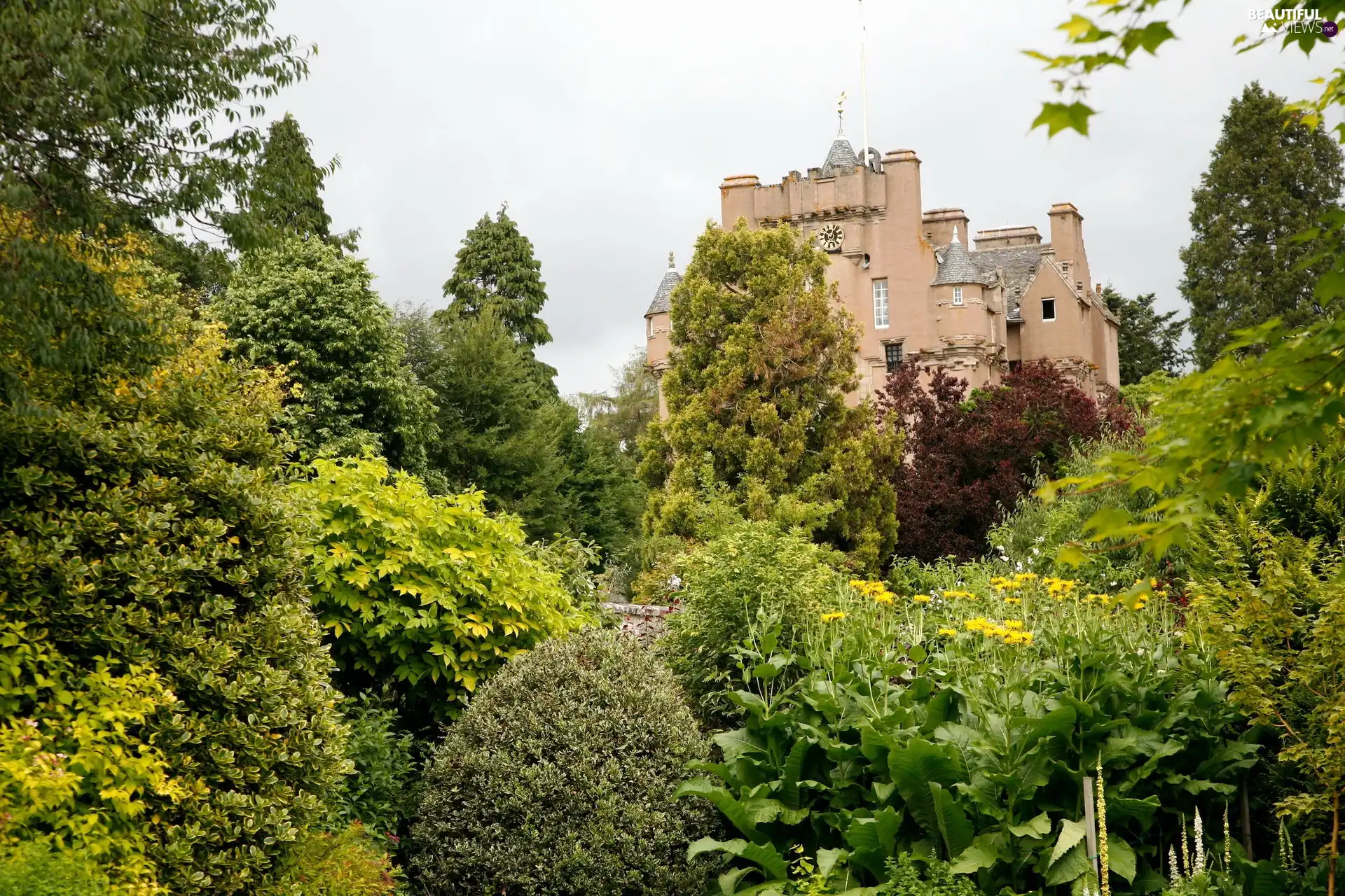 Castle, Scotland, Garden, Crathes