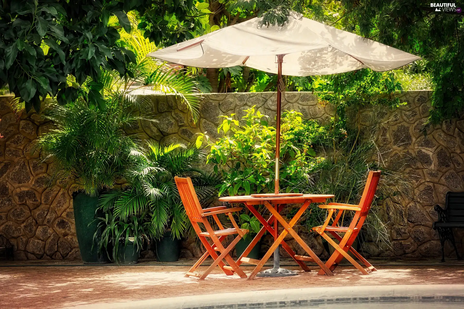 table, terrace, Plants, Garden, Stool, Umbrella