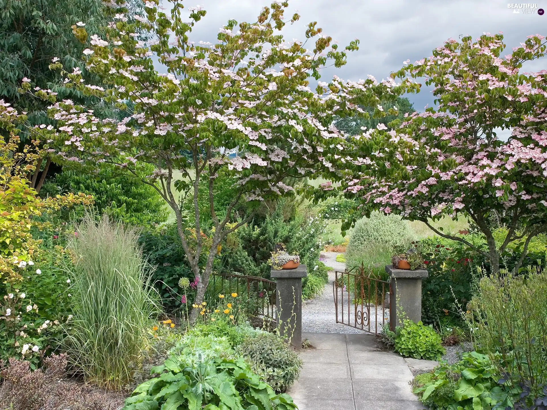 gate, Garden, Flowers