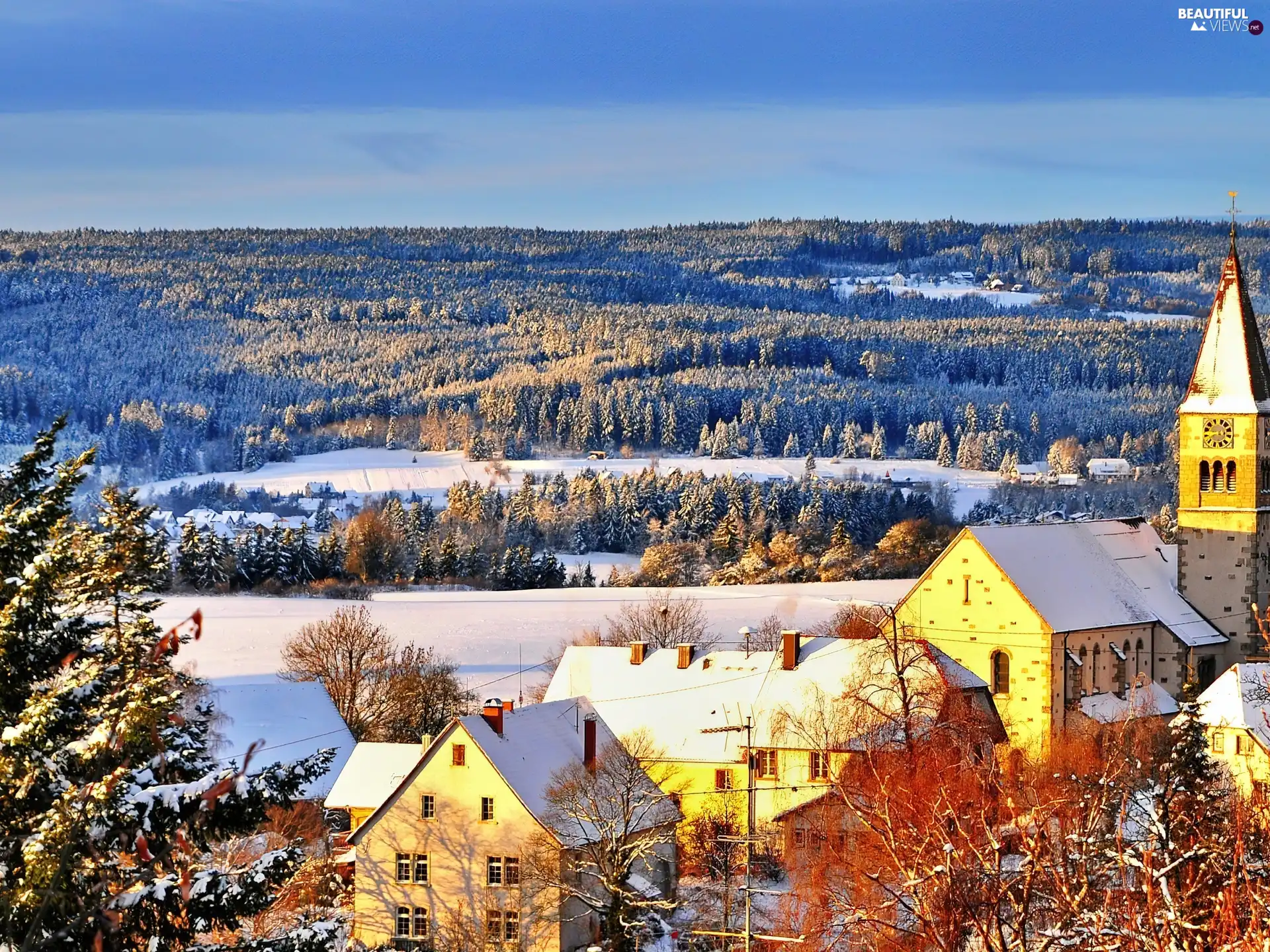 forest, Szwarcwald, Germany, Town