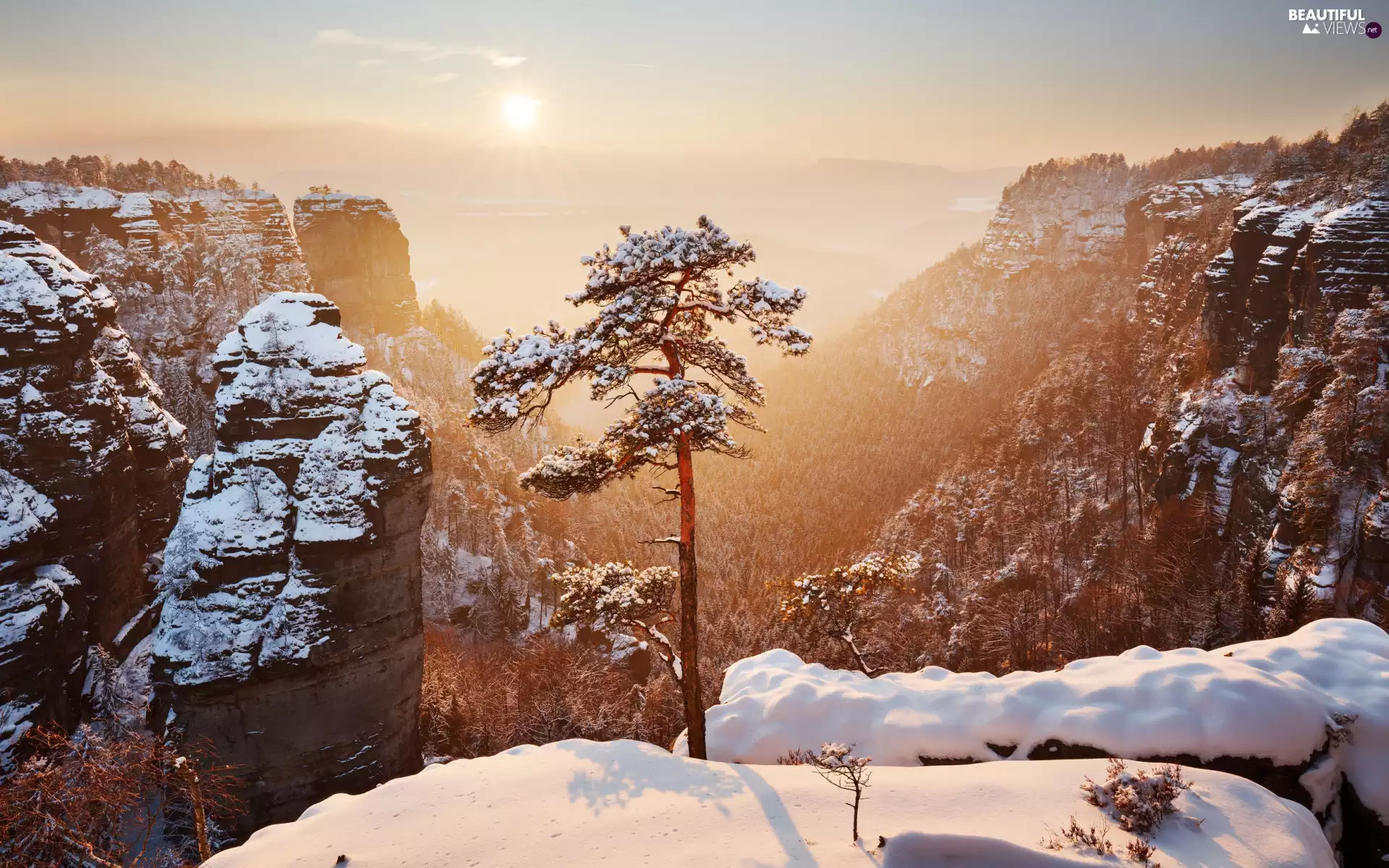 snow, Saxon Switzerland National Park, rocks, morning, trees, Germany, Děčínská vrchovina, Fog, sun, winter