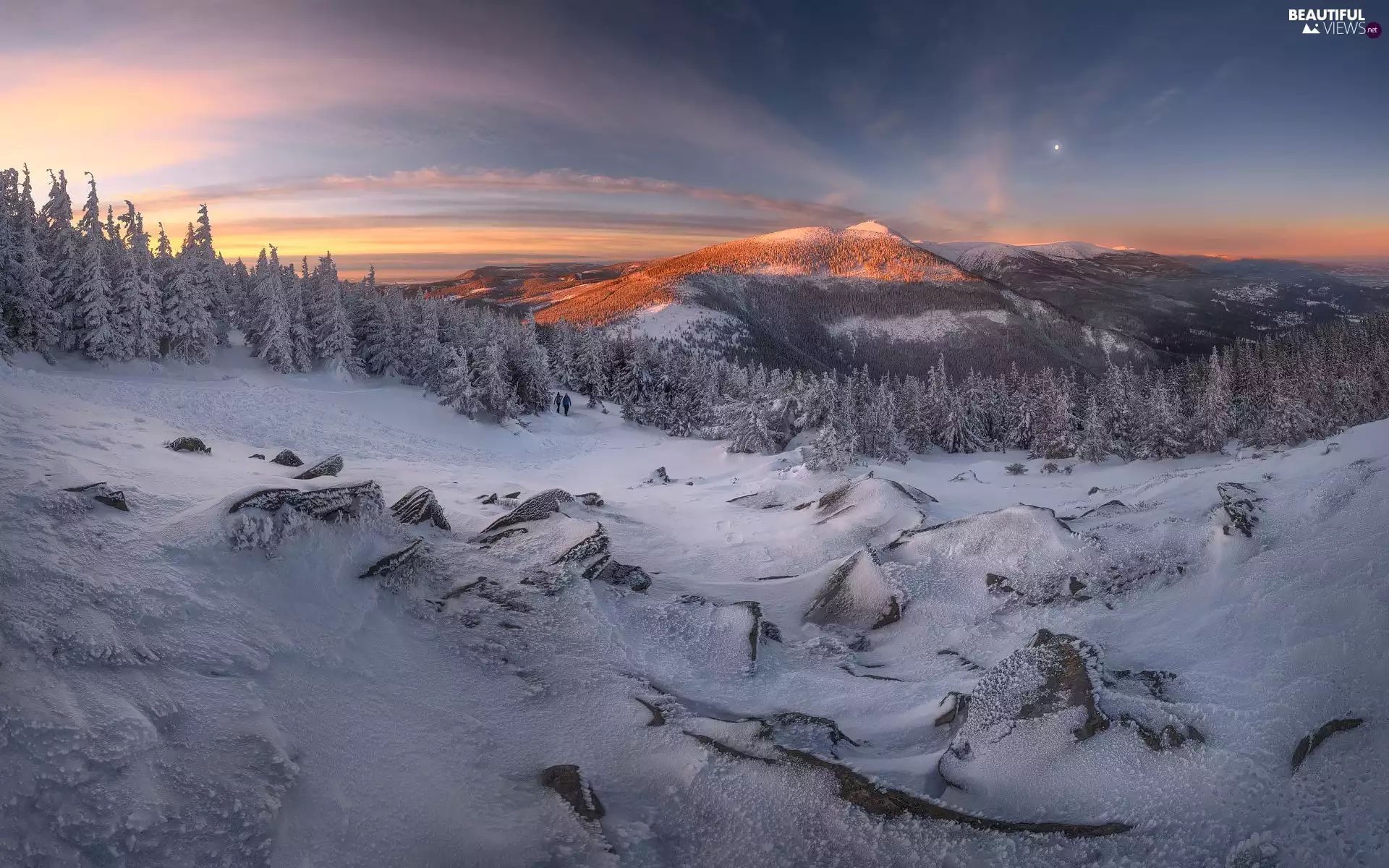 viewes, Mountains, forest, moon, Snowy, winter, Giant Mountains, Poland, Sunrise, trees