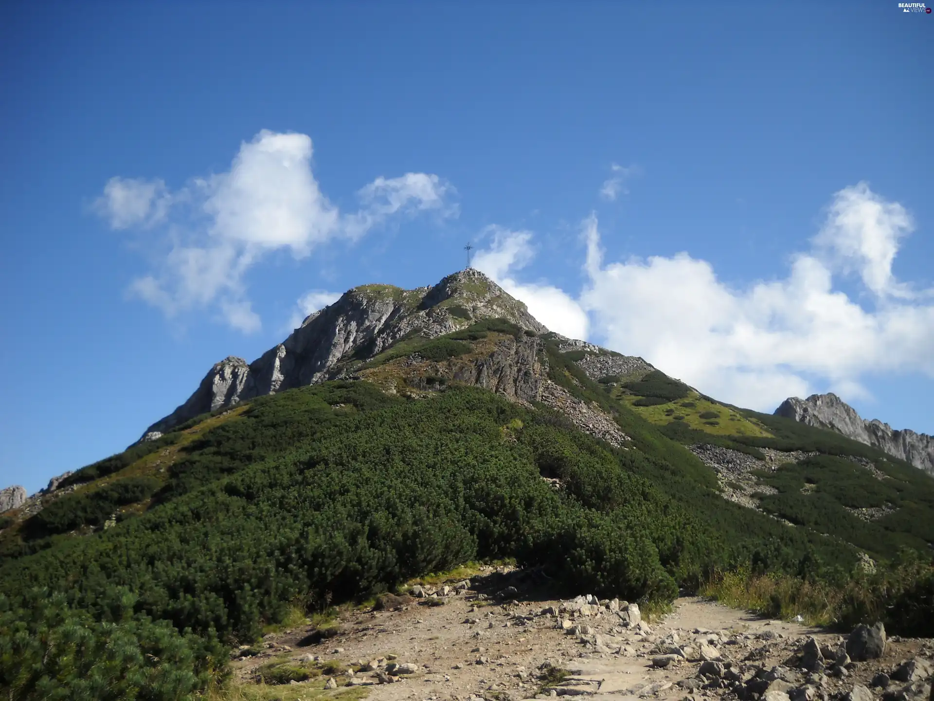 mount, Giewont