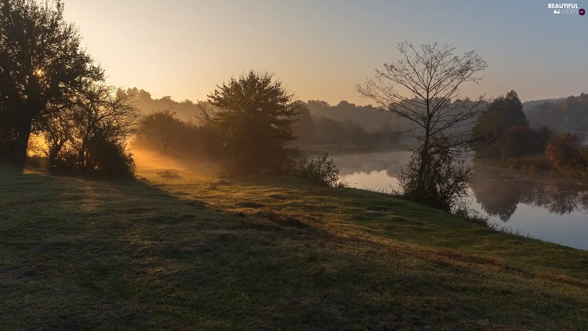 sun, Fog, trees, glamour, morning, River, viewes