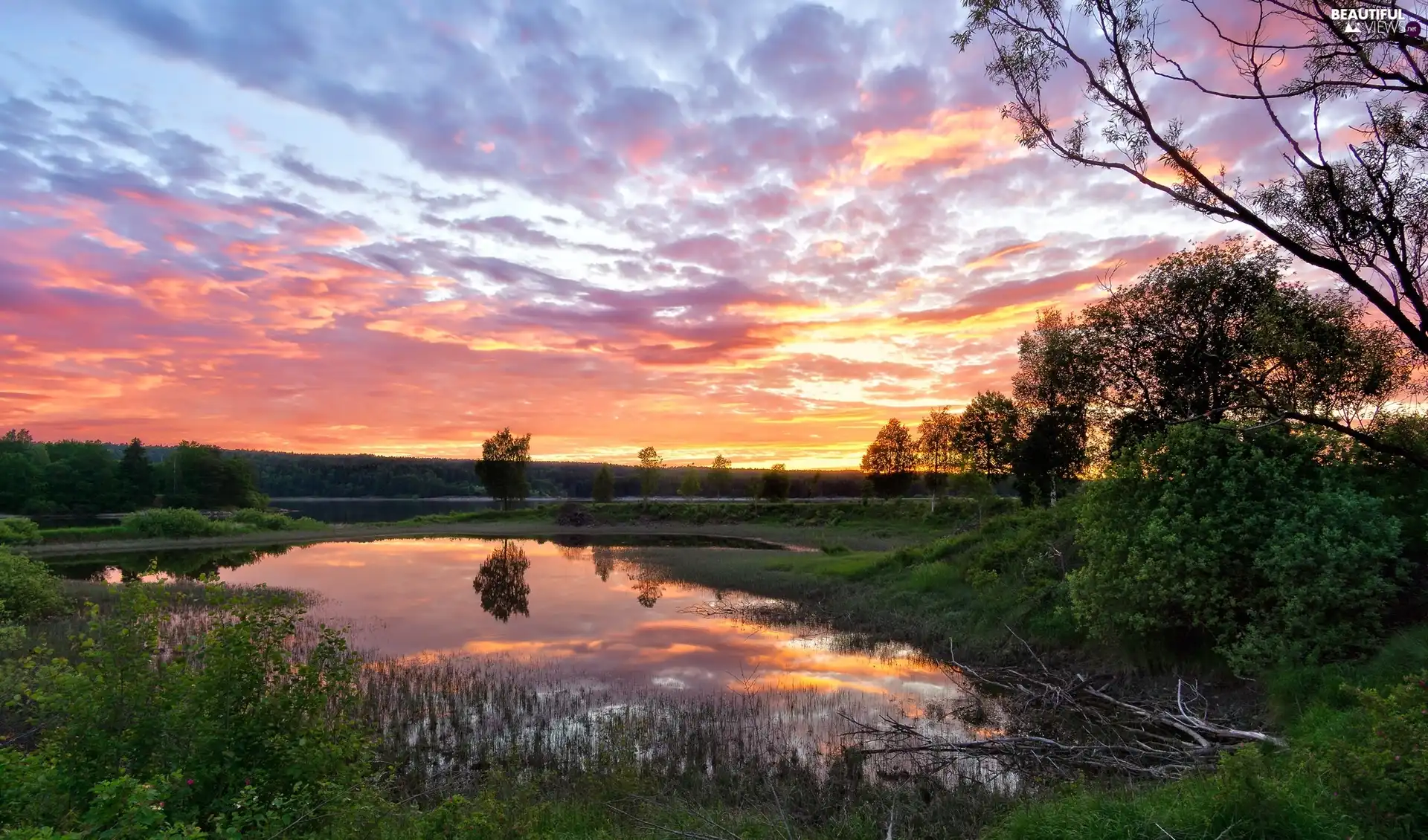 Bush, grass, clouds, Pond - car, Glomma River, Great Sunsets, viewes, Norway, reflection, trees, Sarpsborg Municipality, Østfold Region