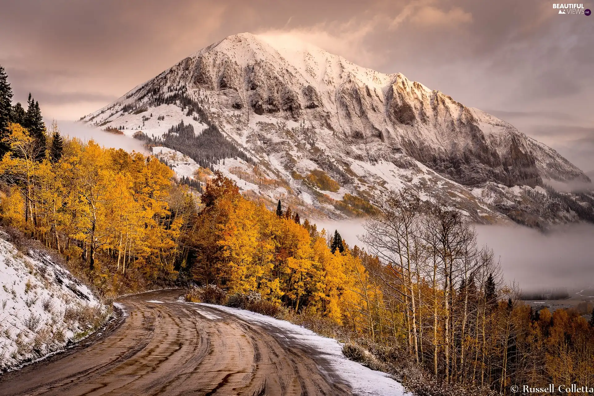 Mountains, State of Colorado, trees, Way, The United States, Gothic Mountain, viewes