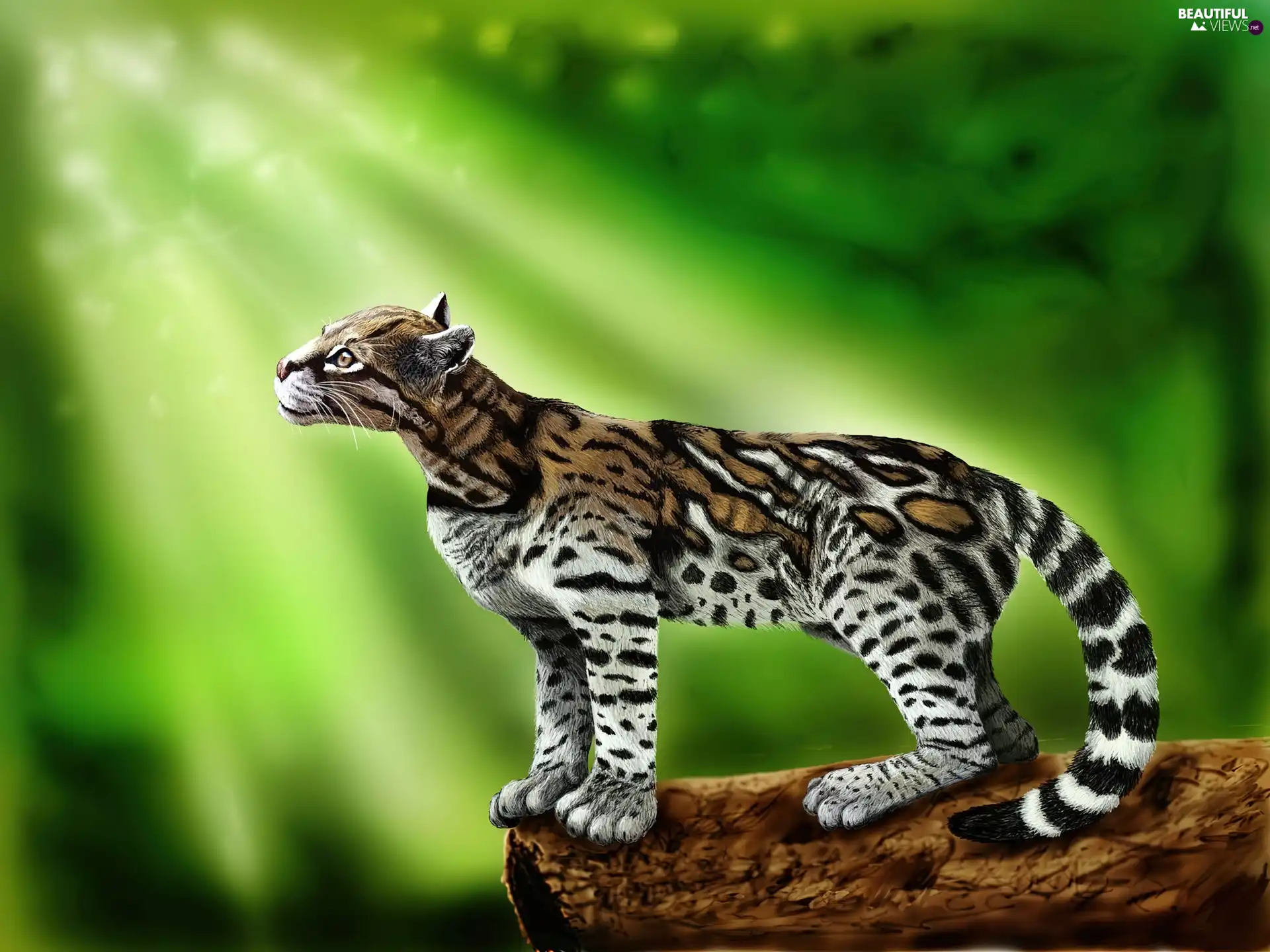 ocelot, light, graphics, rays