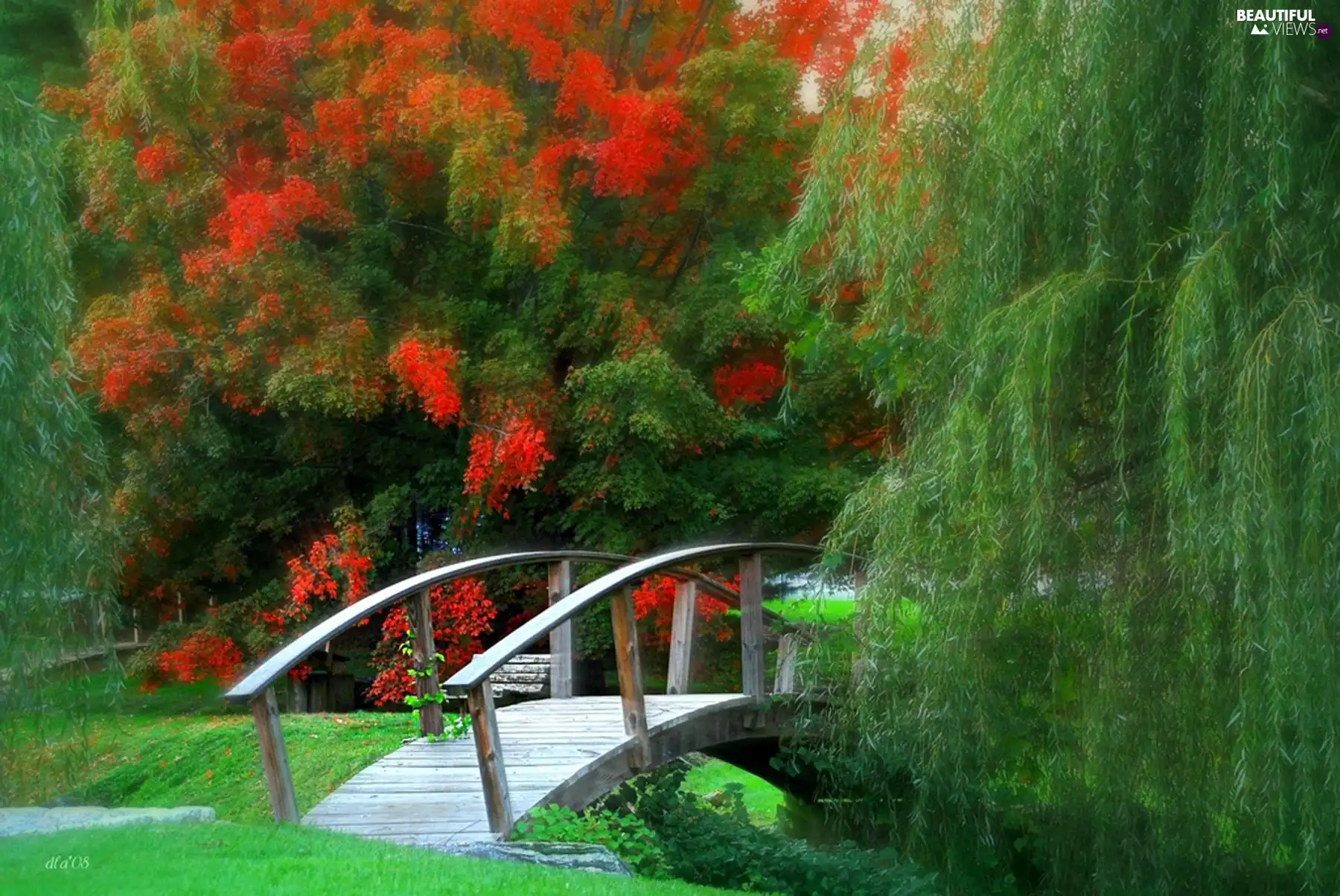 Park, bridges, graphics, Willow