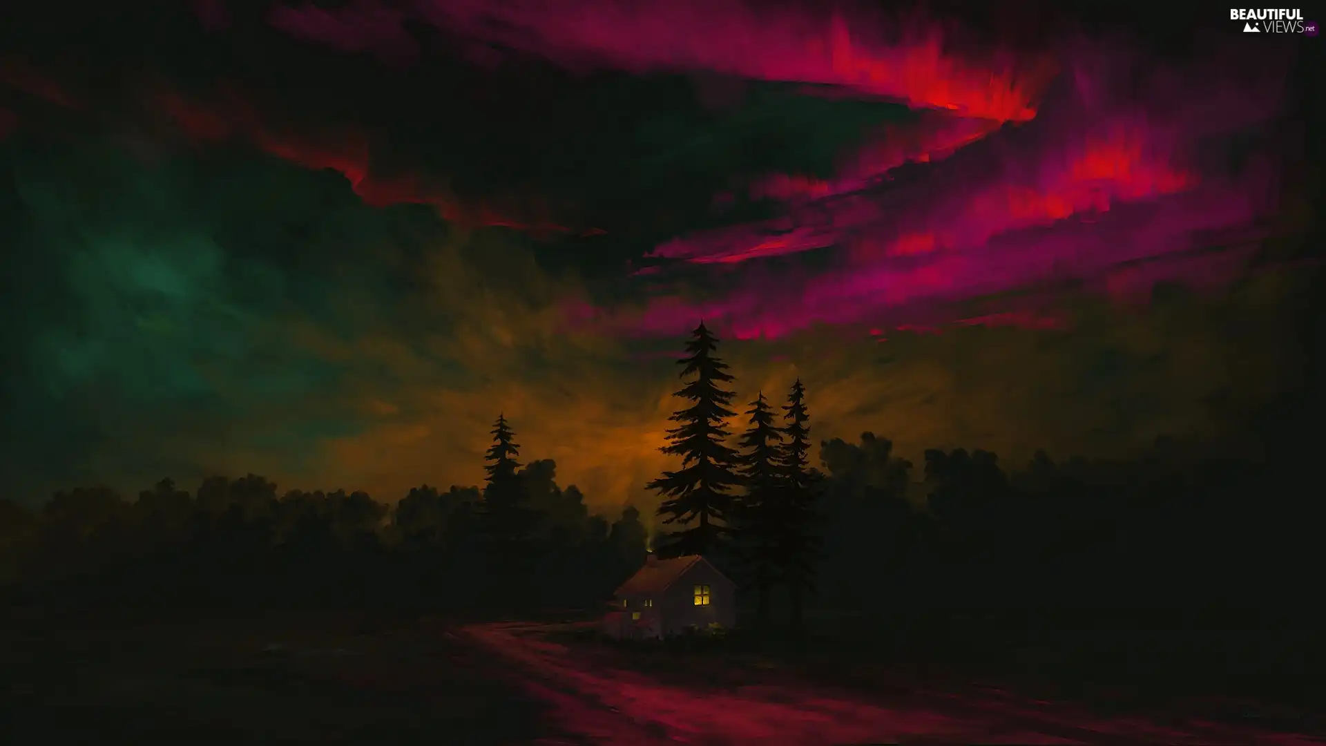 Way, color, clouds, viewes, aurora polaris, graphics, Sky, Night, trees, house